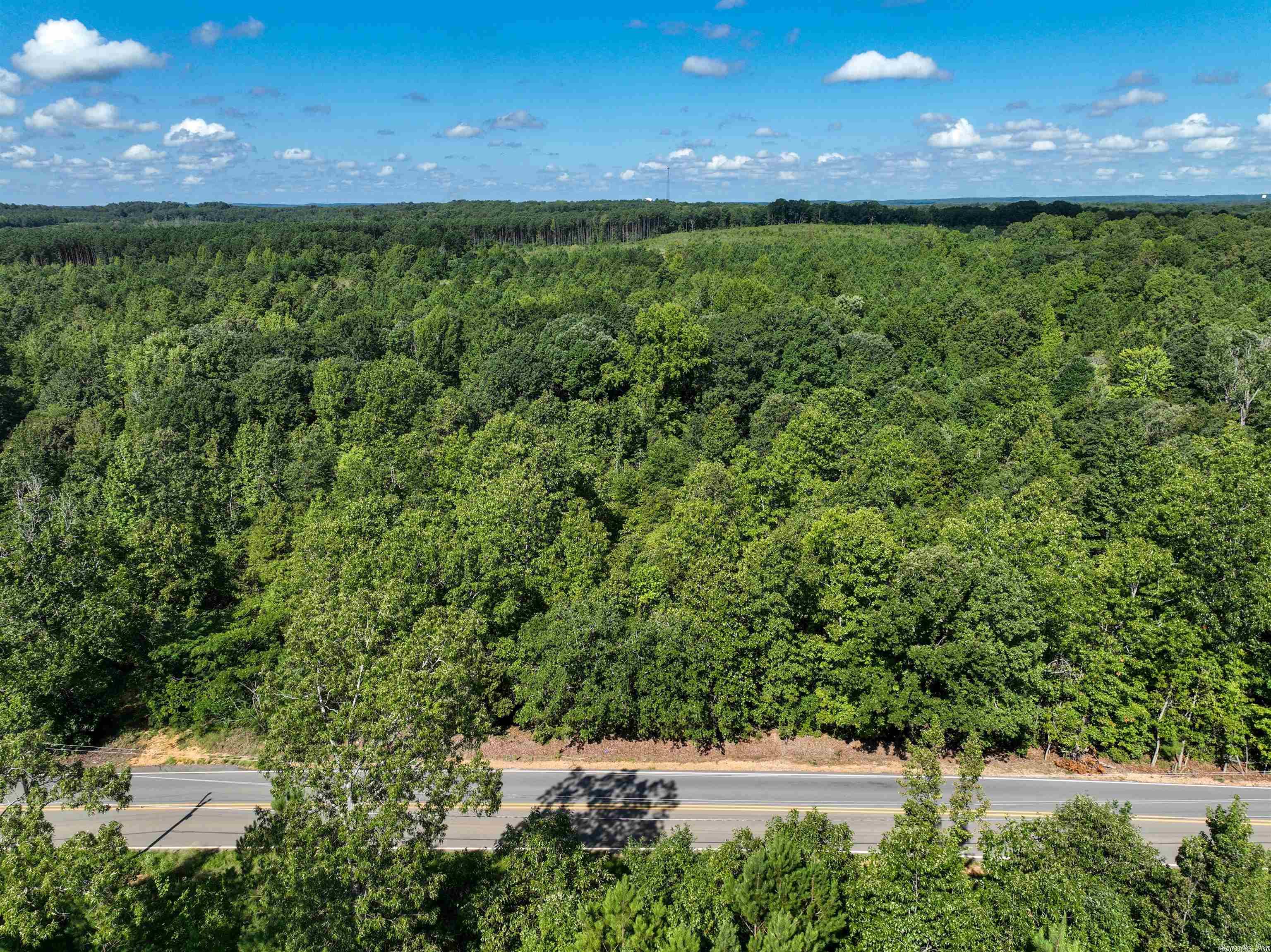 Mountain Pine - Land