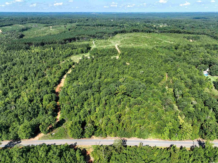 Wood terrain community and interior development is ongoing and expected completion is late fall. 20 years old or new mobiles accepted. Power and rural water along the road with Fiber Optic Internet. Trinity Baptist Church is across the road and 16 miles to Little Rock. Approximate frontage 216 sq ft. Make it yours!