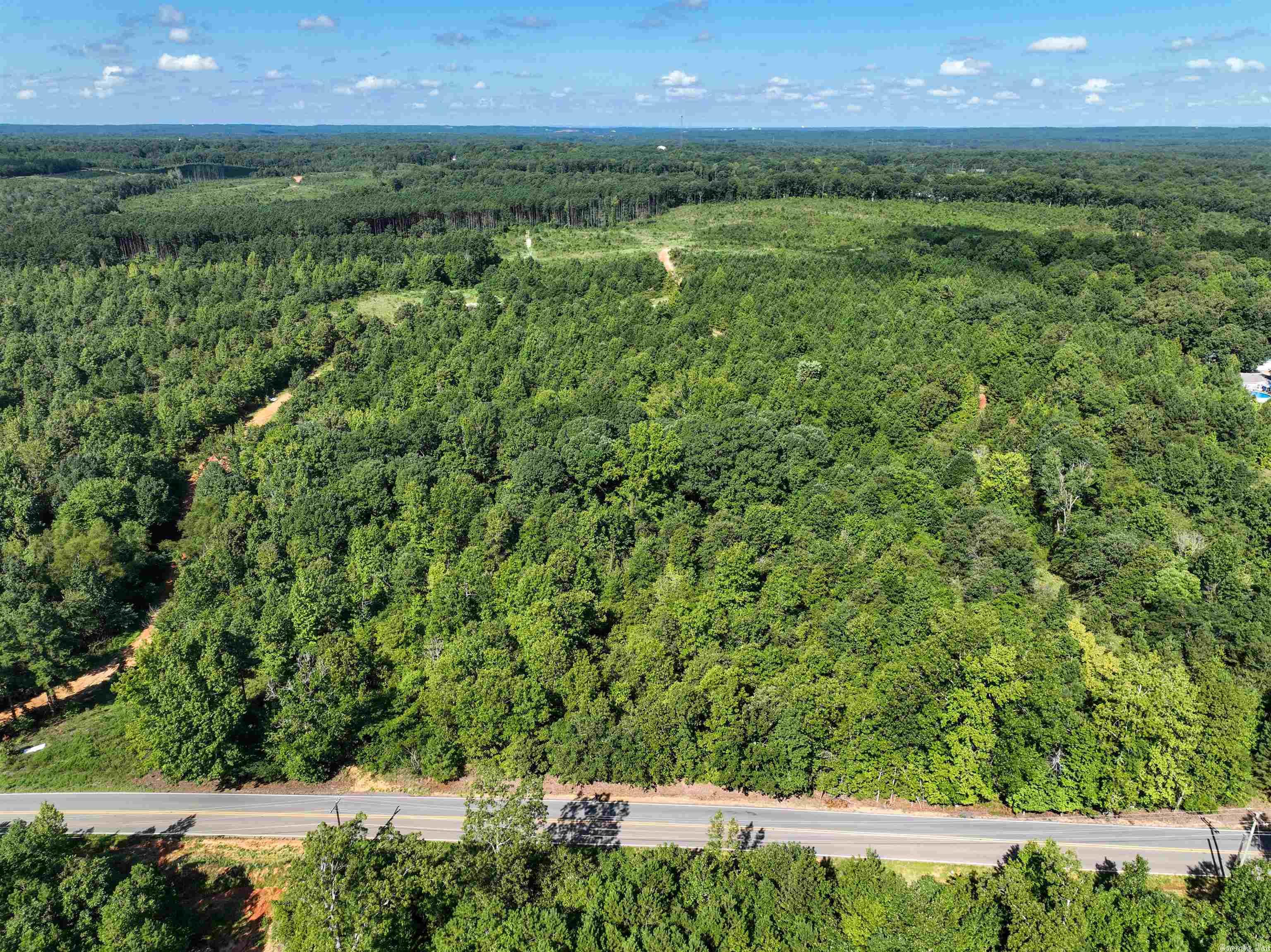 Mountain Pine - Land