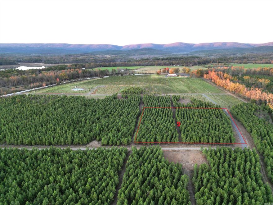 Beautiful wooded 3.01 m/l acre lot in a fantastic location! This lot offers privacy and convenience! Close to Wilhelmina Lake, 10 min from Mena downtown, and not far from all kinds of outdoor activities in the area including hiking trails, ATV trails, newly opened bike trails and rivers to kayak or fish! Build a cabin or a dream home!