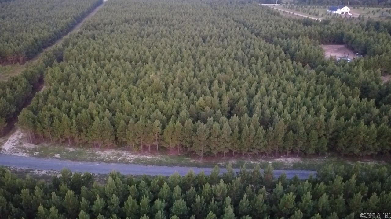Lake Avalon Estates - Land