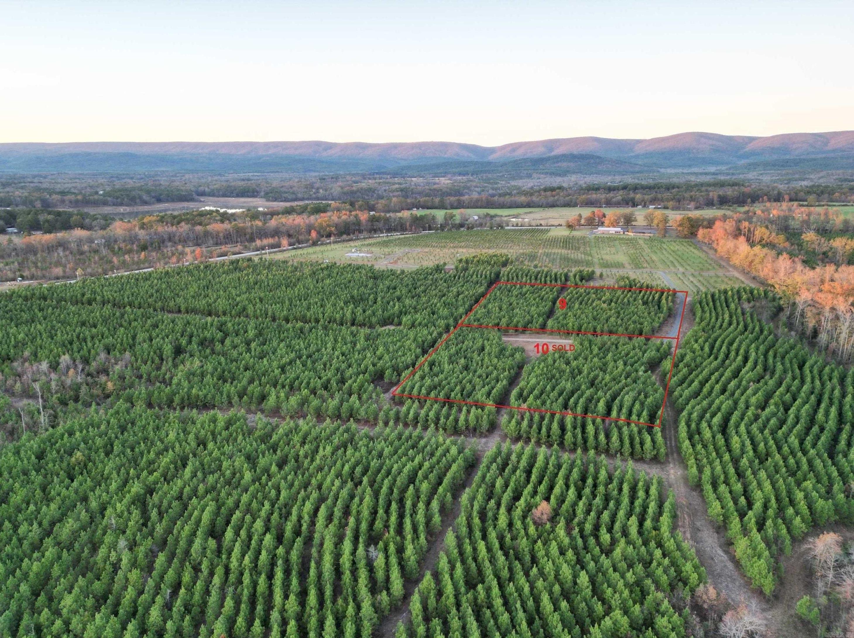 Lake Avalon Estates - Land