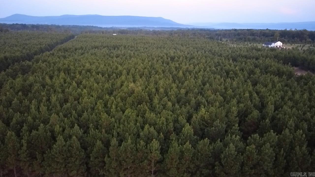 Lake Avalon Estates - Land