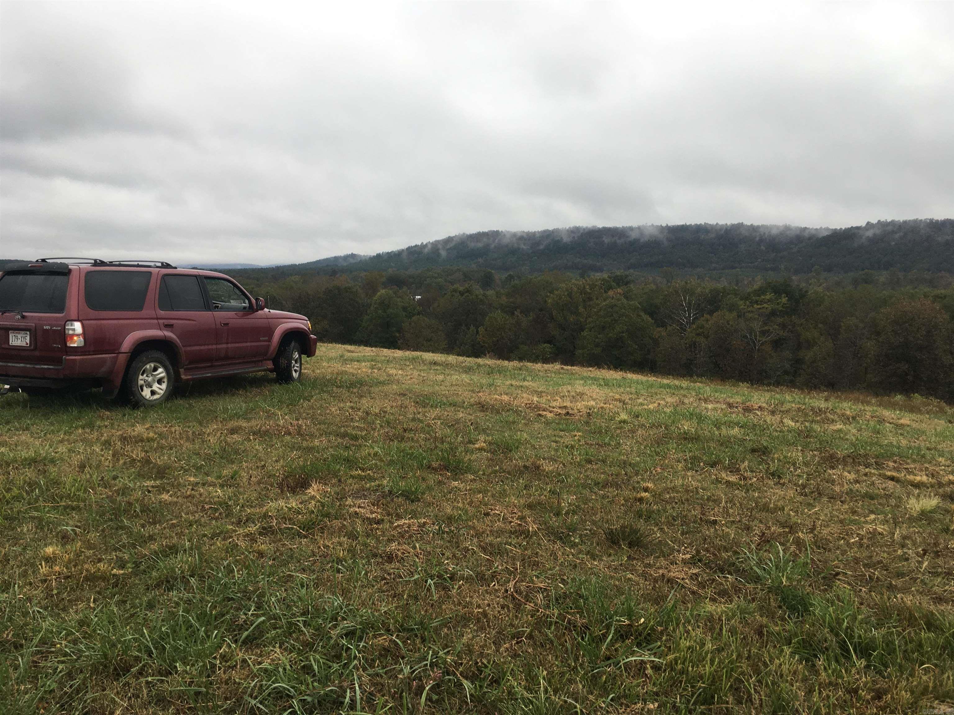 40 Acres of absolutley beautiful land with stunning views of hills mountains. Great place to build with many sites to choose from. Truly escape to peace and enjoy God's country. Hidden but close to all the area amenities. Take a look around, this is a steal at under 5K/acre! Need more space? Buy all 56 acres See MLS #25015176
