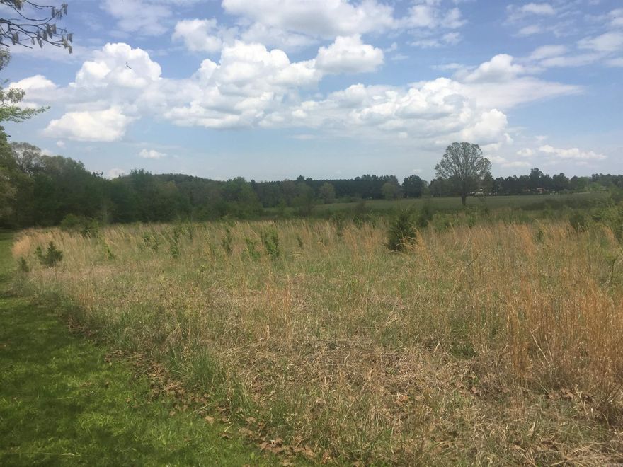 Almost 2 acres with water septic, power pole, two driveways, concrete slab, tie downs for RV or trailer, large trees, lots of grass, pets and dogs welcome.