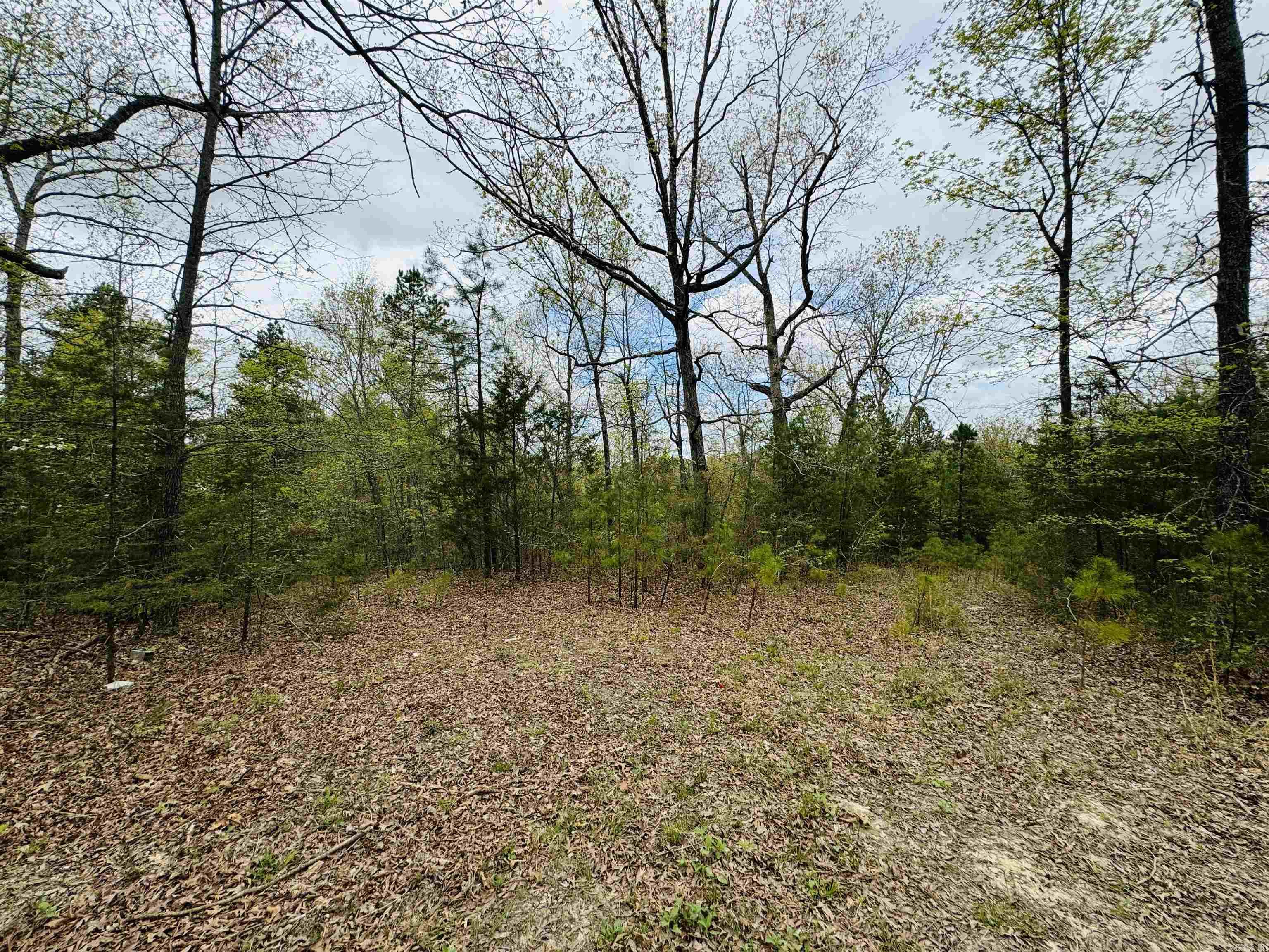 Metes & Bounds - Land