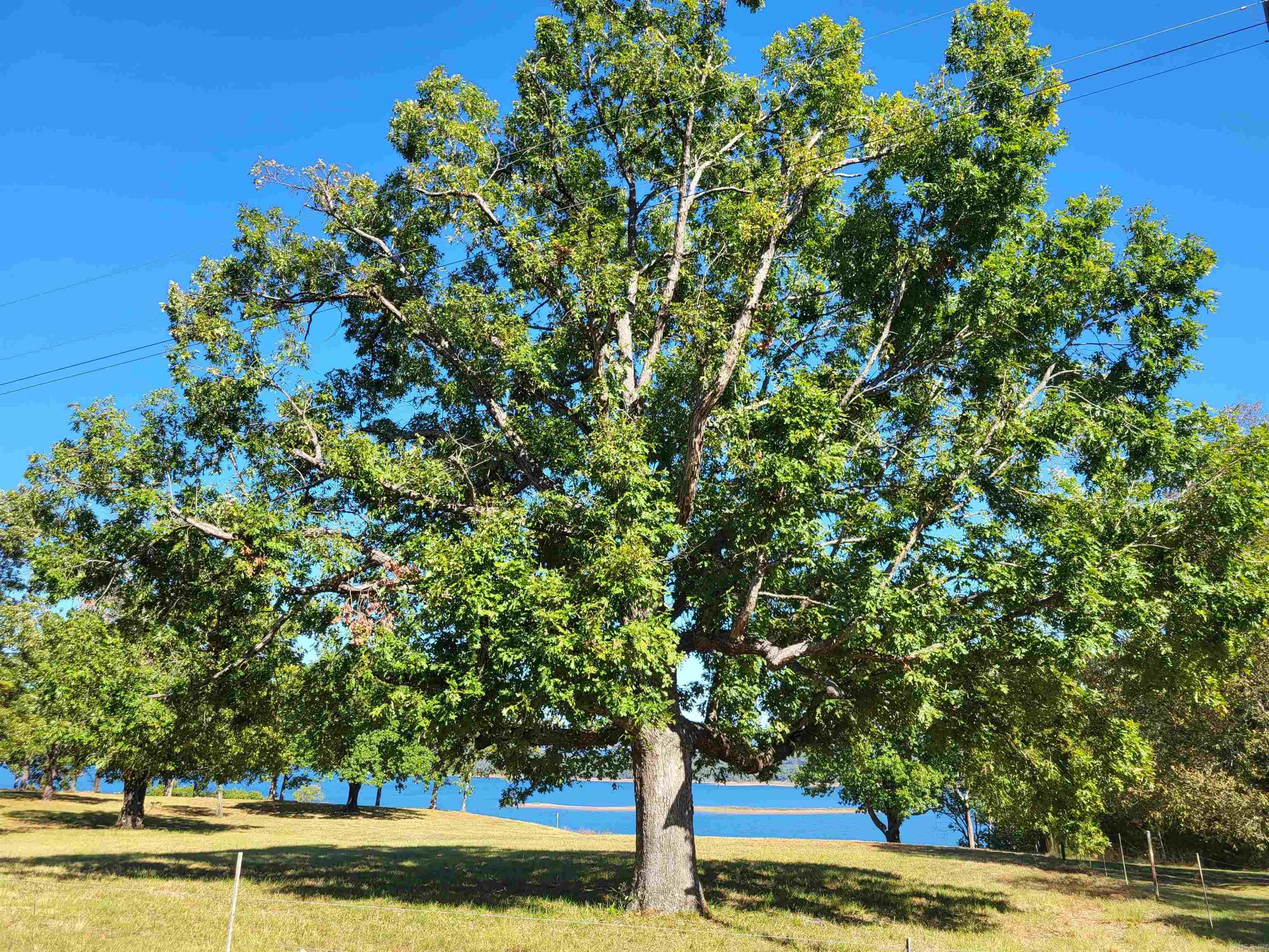 Enchanted Bluff Estates - Land