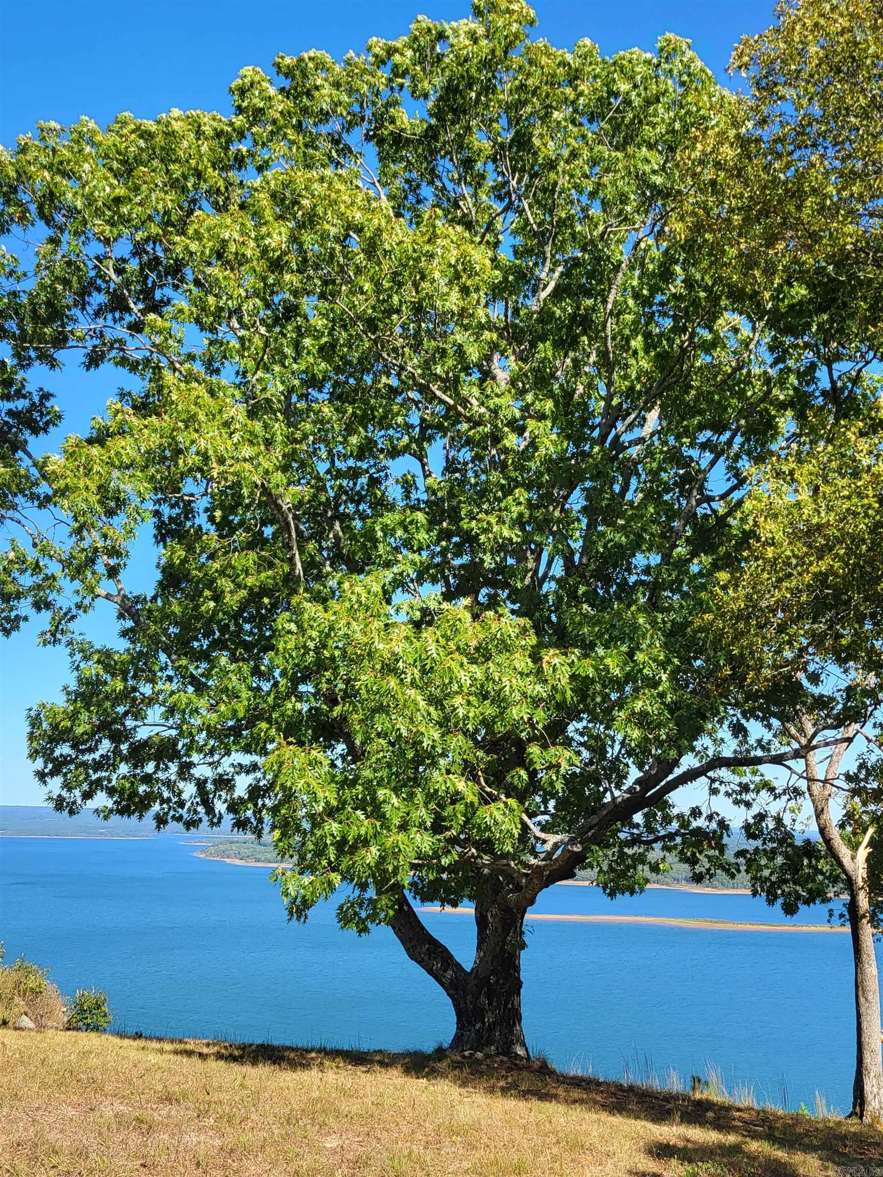 Enchanted Bluff Estates - Land