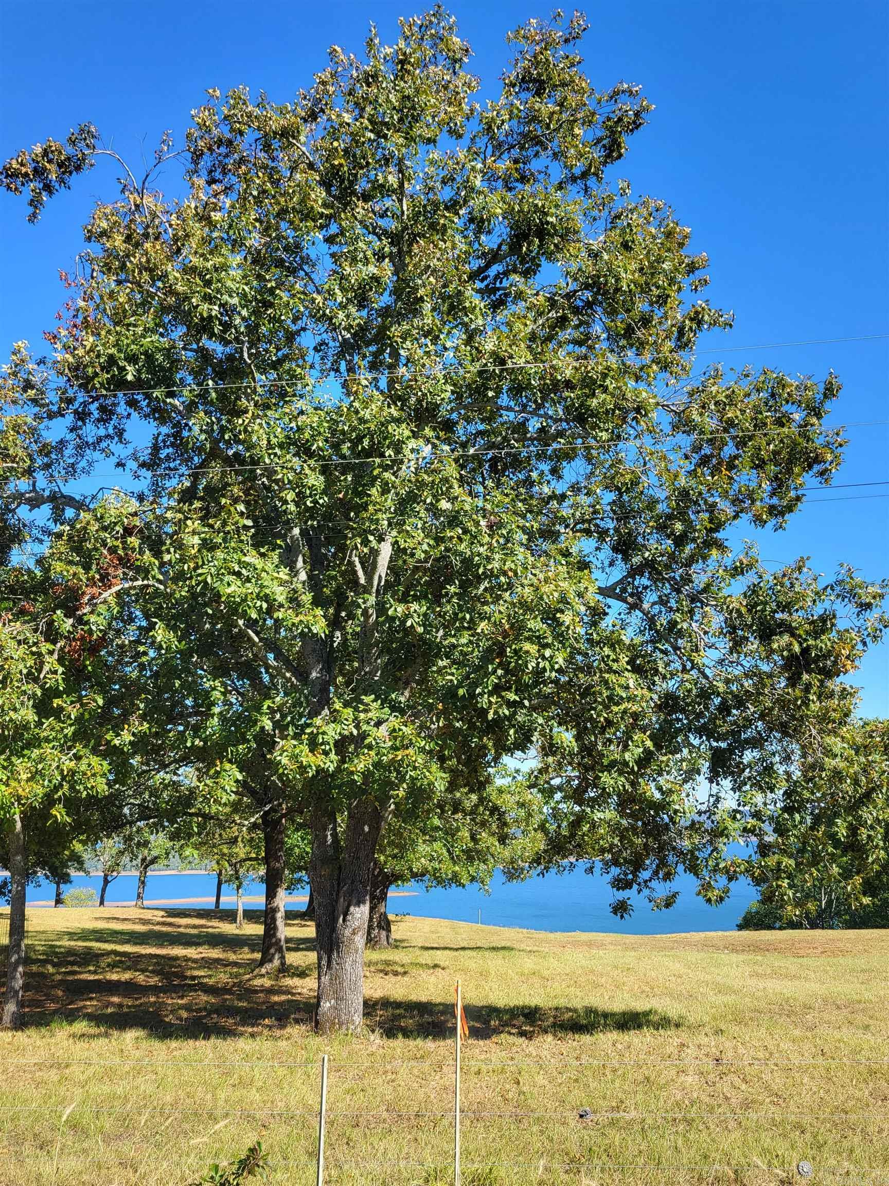 Enchanted Bluff Estates - Land