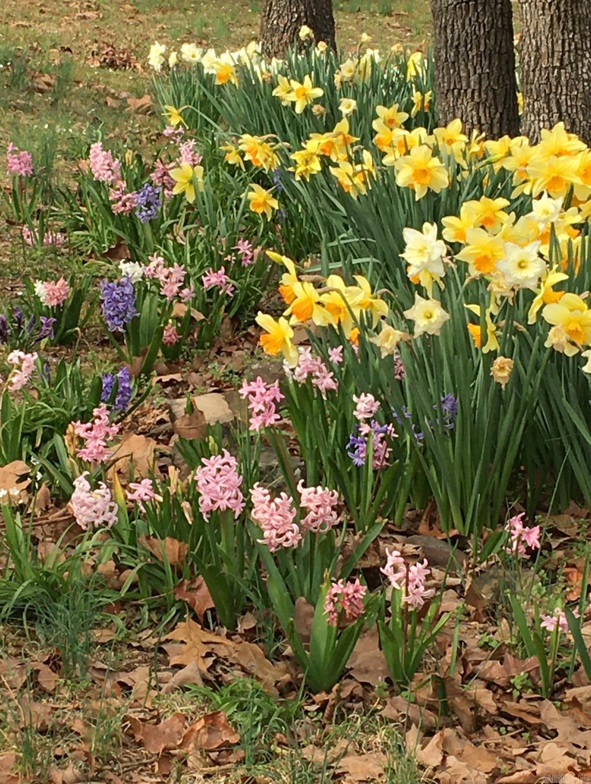 SUN TERRACE ESTATES - Residential