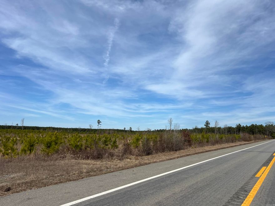 This 16.8-acre property, located on the south side of Highway 79, offers an excellent opportunity for those looking to invest in timberland or seeking a place to get away. The tract was planted with pine in 2020, providing a young and promising timber resource for future harvest. Conveniently situated just 10 miles from Pine Bluff, this property combines the quietness of country living with the accessibility to town amenities. The south side of the property is equipped with essential utilities, including water in the area, making it an attractive option for future development or simply enjoying a more convenient outdoor experience. Whether you're looking to expand your land portfolio or find a spot to build your dream home, this property offers potential in a prime location. SELLER IS RETAINING MINERAL RIGHTS.