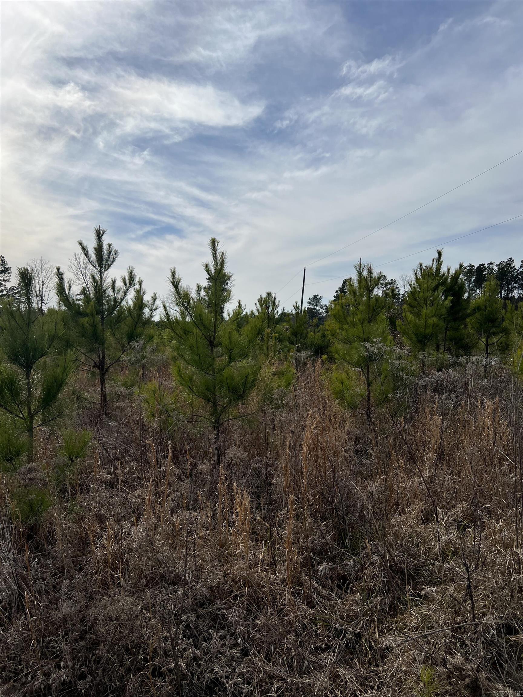 Jefferson County - Land
