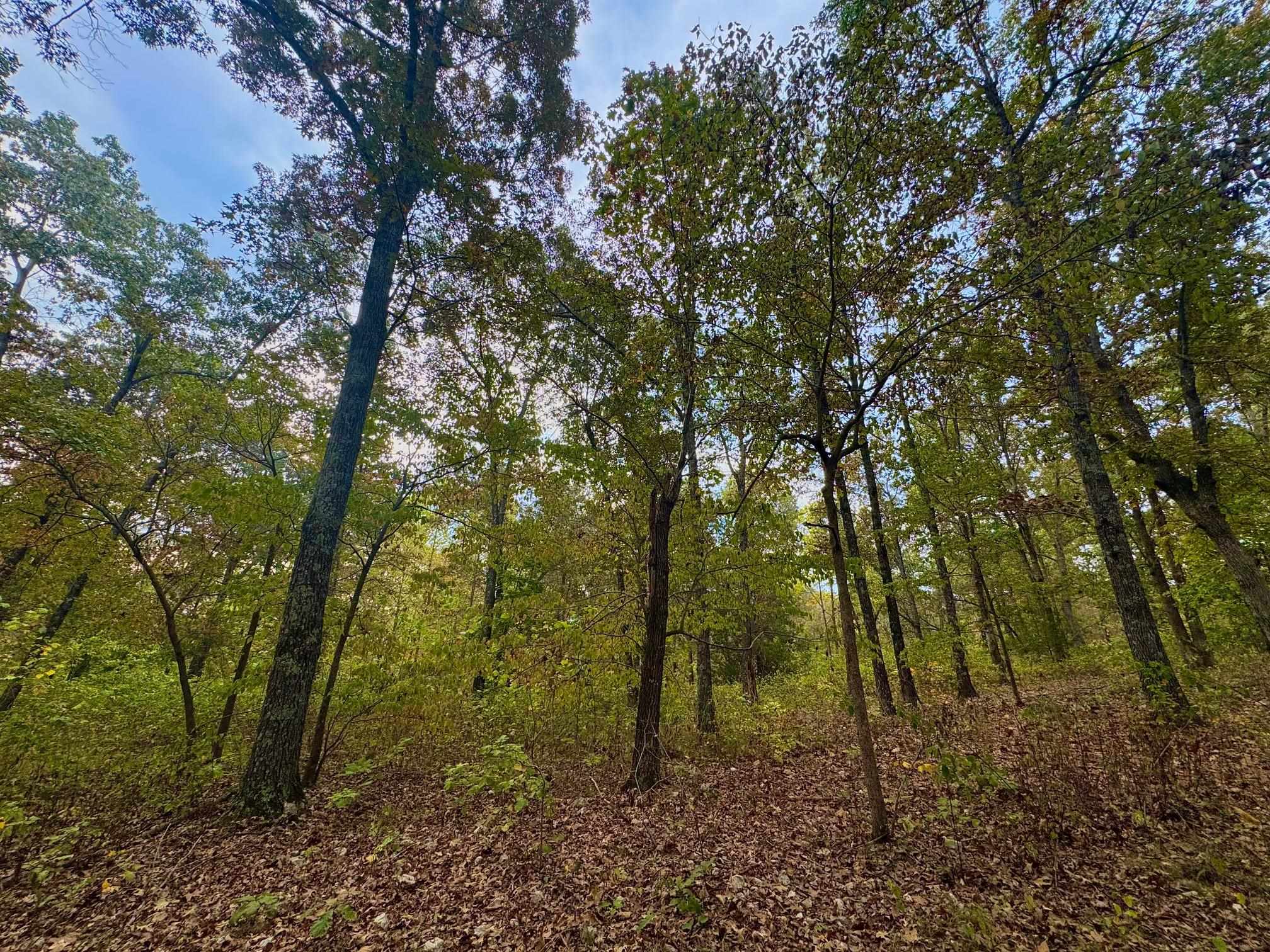 Secluded Estates - Land
