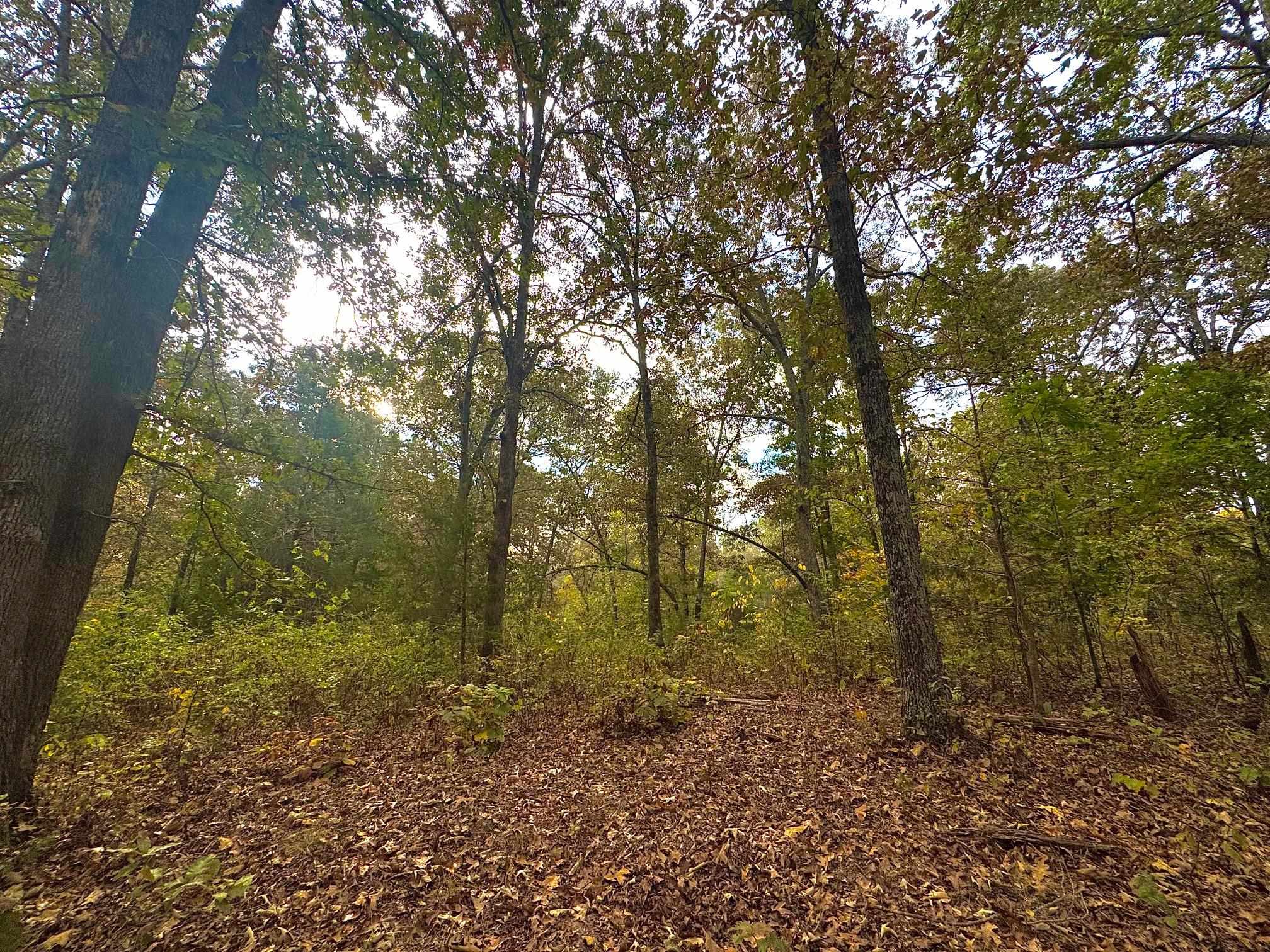 Secluded Estates - Land
