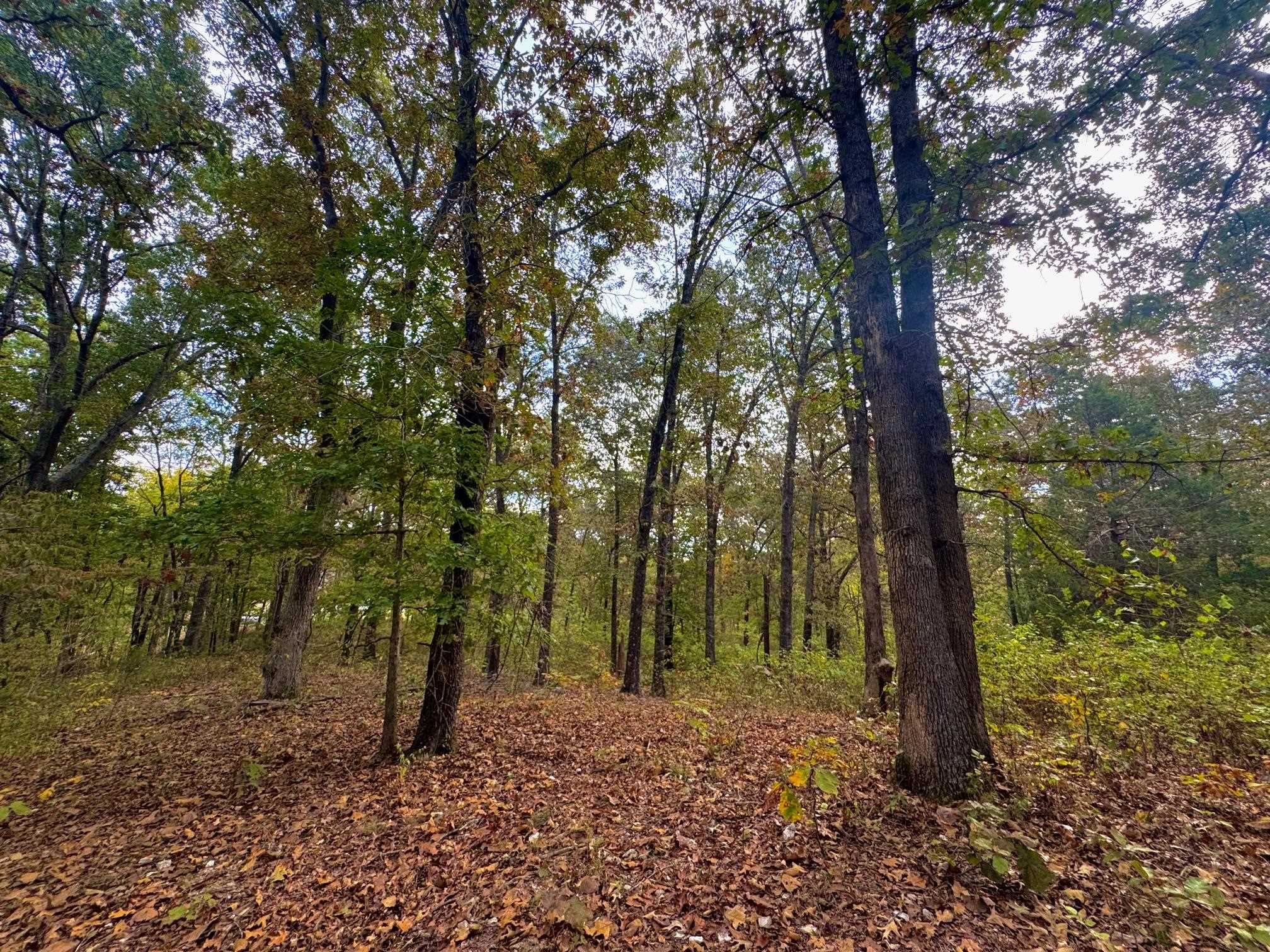 Secluded Estates - Land