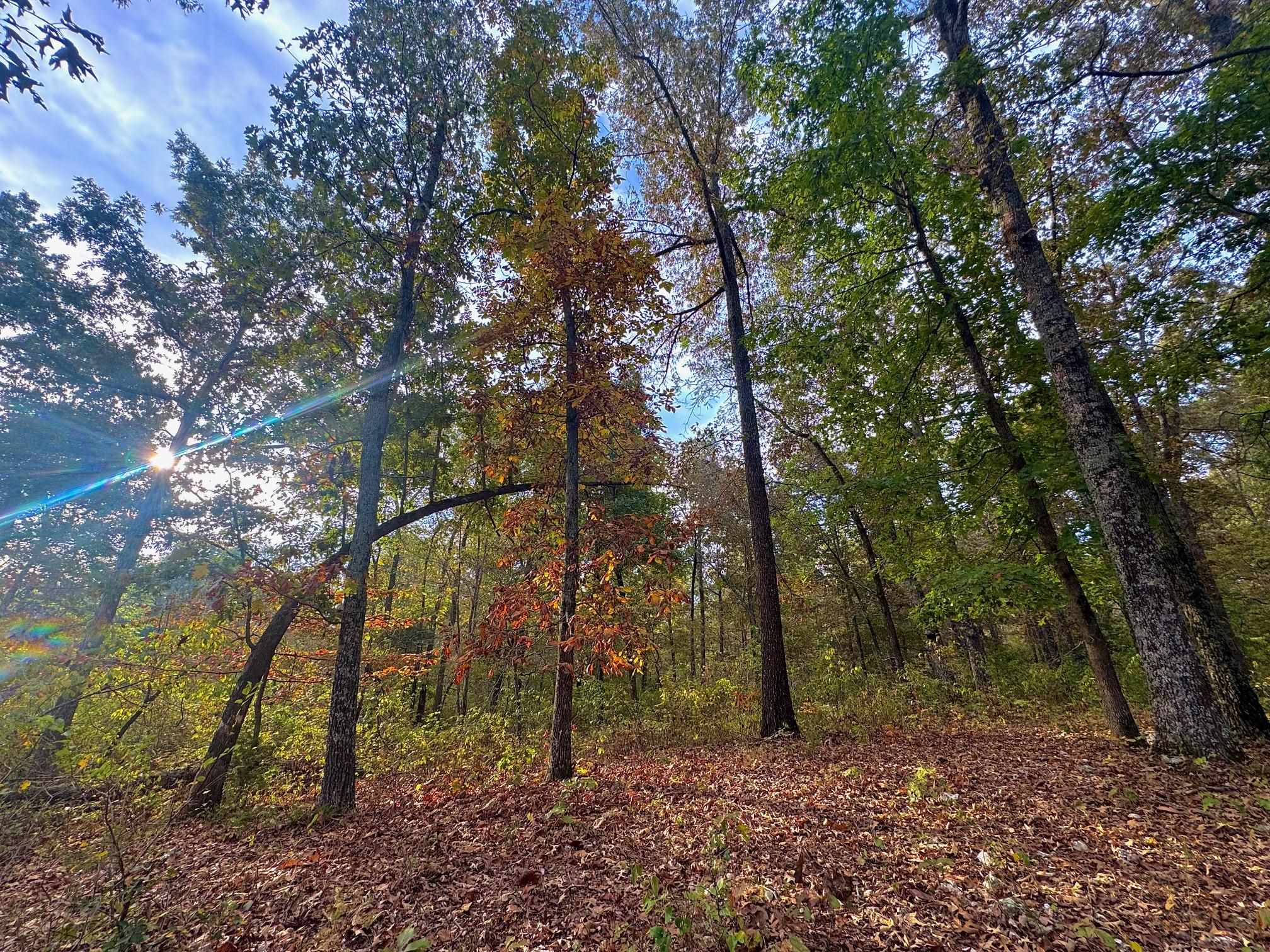 Secluded Estates - Land