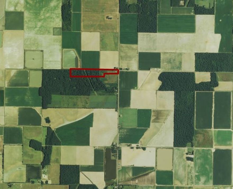 Excellent location with numerous possibilities. This 30 acres is part cleared, mostly wooded. It could cleared and farmed, it could be hunted for deer, or it could be the site of your new home. Fantastic piece of ground!