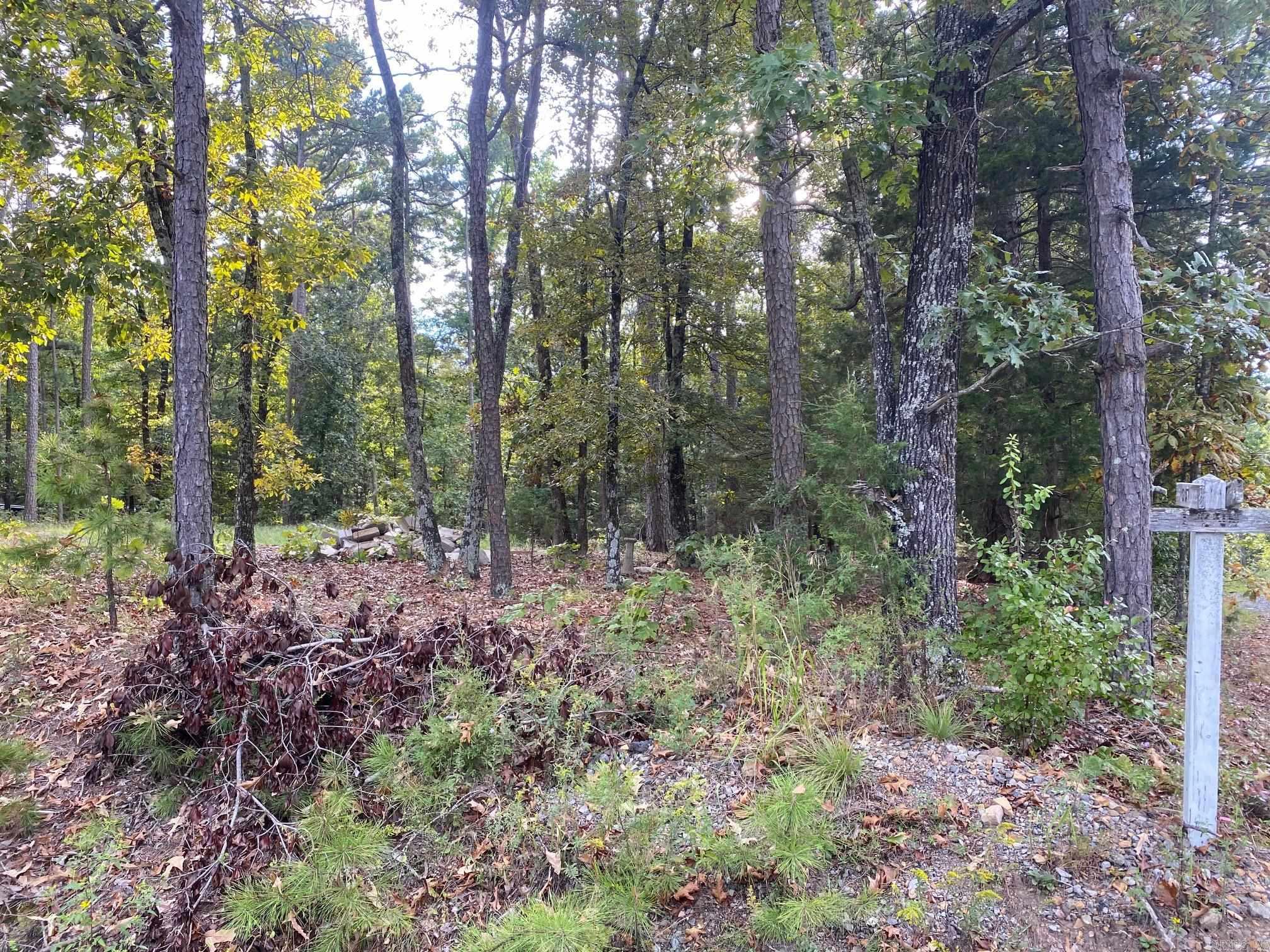 South Shores Park - Land