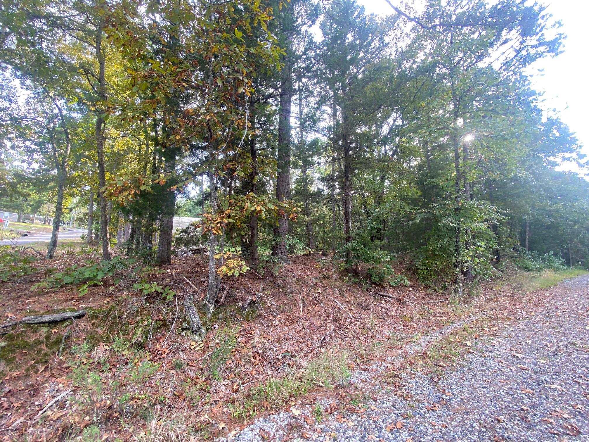 South Shores Park - Land