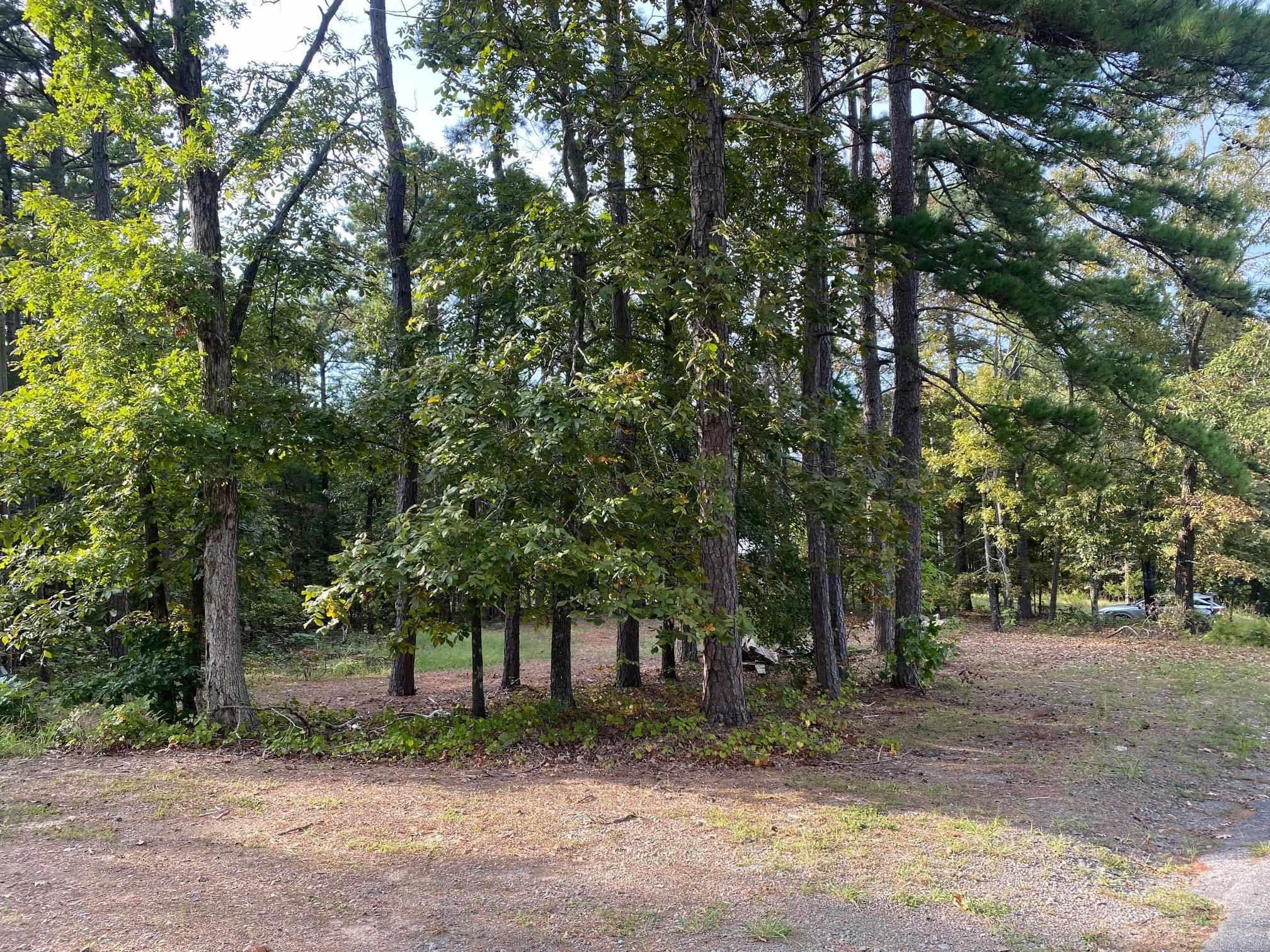 South Shores Park - Land