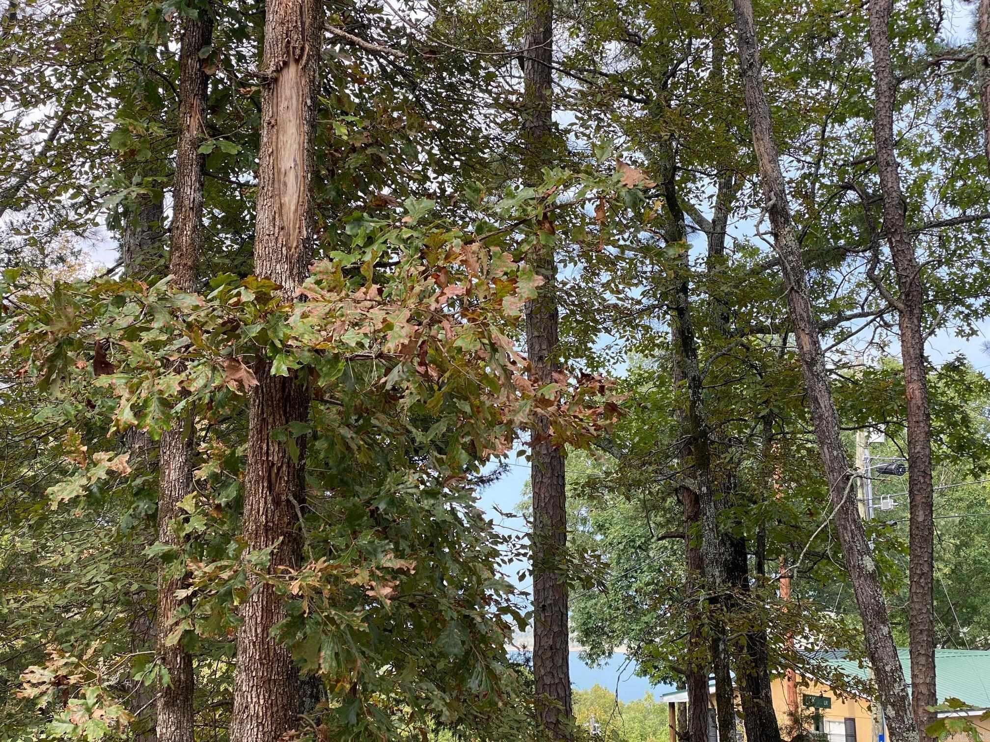 South Shores Park - Land