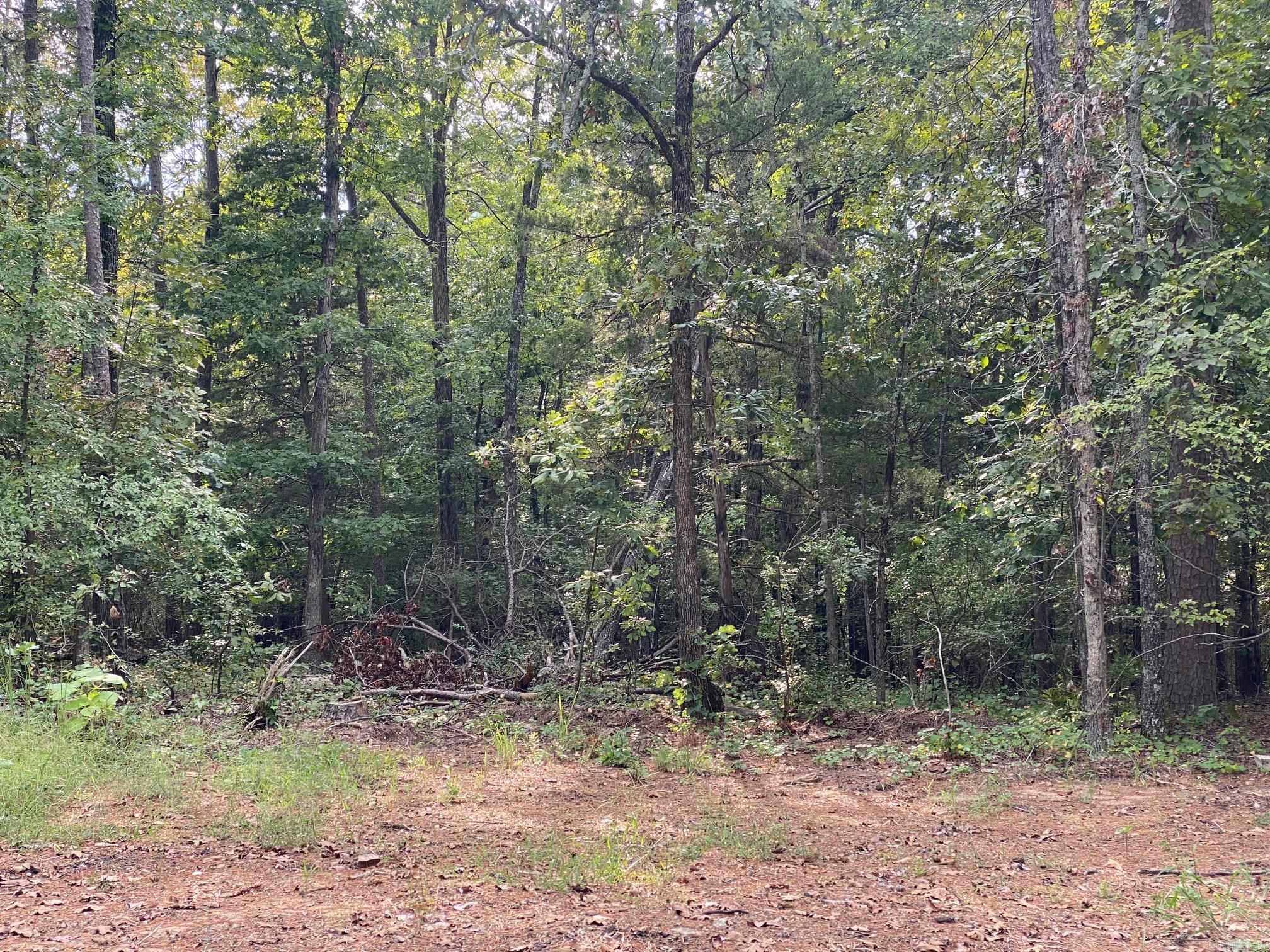 South Shores Park - Land