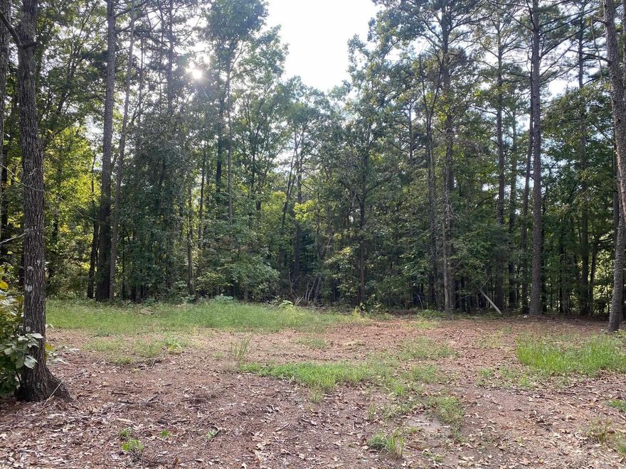 Beautiful view of Greers Ferry Lake, build your dream home here!  Lots have been partially cleared, nice and level with septic on property, and utilities available. Location is perfect, just around 6-7 miles to Heber Springs.   This is located in South Shore Park and has a boat launch area for the residents.