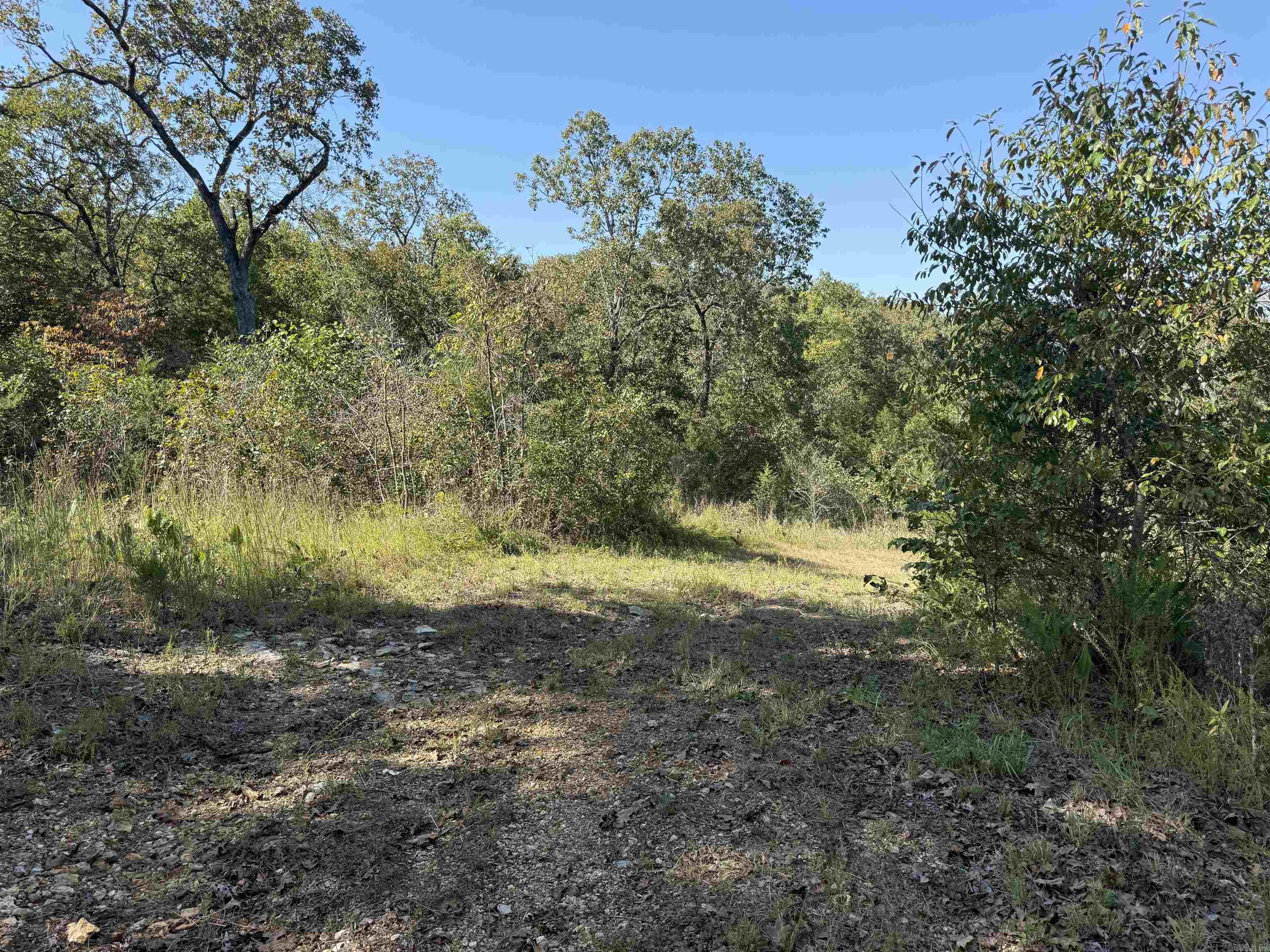 Here is an amazing opportunity for you to build or bring your dream home! 8.7 beautiful AC M/L with mature timber, fruit and nut trees, seasonal creek and total seclusion. Already equipped with a working well and electric on site! Mobile and manufactured homes OKAY! Minimal restrictions on this end of the road slice of Ozark Paradise! LOTS of signs of deer activity, so this is your hunting dream! Old trailer house to be removed or demolished by buyer, possible septic tank but location and condition are unknown. Road into property is very rough- (beat up) four wheel drive required.