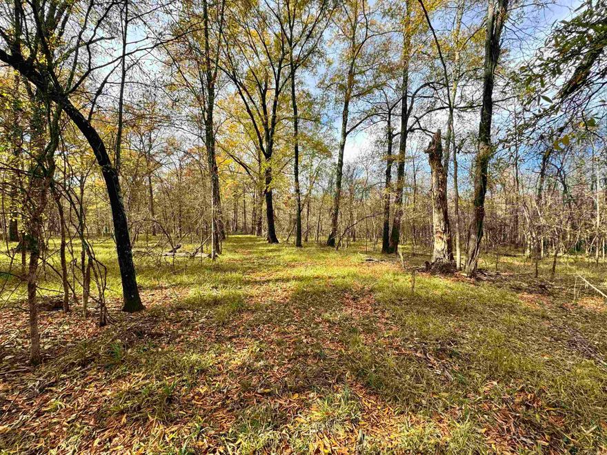 Imagine being 15 minutes from one of the most upscale areas of Little Rock, near Cantrell Road, yet having a small version of the White or Cache River Refuge out your back door. That is most accurate way I know to describe this 47 +/- acres located in Pulaski County Arkansas near Roland. You enter the highest portion of the property via deeded easement off of Roland Cutoff Road. There are approximately 2 acres well suited for building a custom home with a water easement in place and electric at Roland Cutoff. When you begin walking the property you quickly enter the Mill Bayou bottoms which, on this property, consists of huge Cypress along the bayou and excellent stands of bottomland hardwoods in the areas away from the channel of the bayou. The current owners have experienced many great duck and deer hunts and I personally have jumped Wood Ducks and several deer on each site visit including one nice bachelor herd of bucks in early September 2023. Good road system and spring fed stream that appears to be year-round.