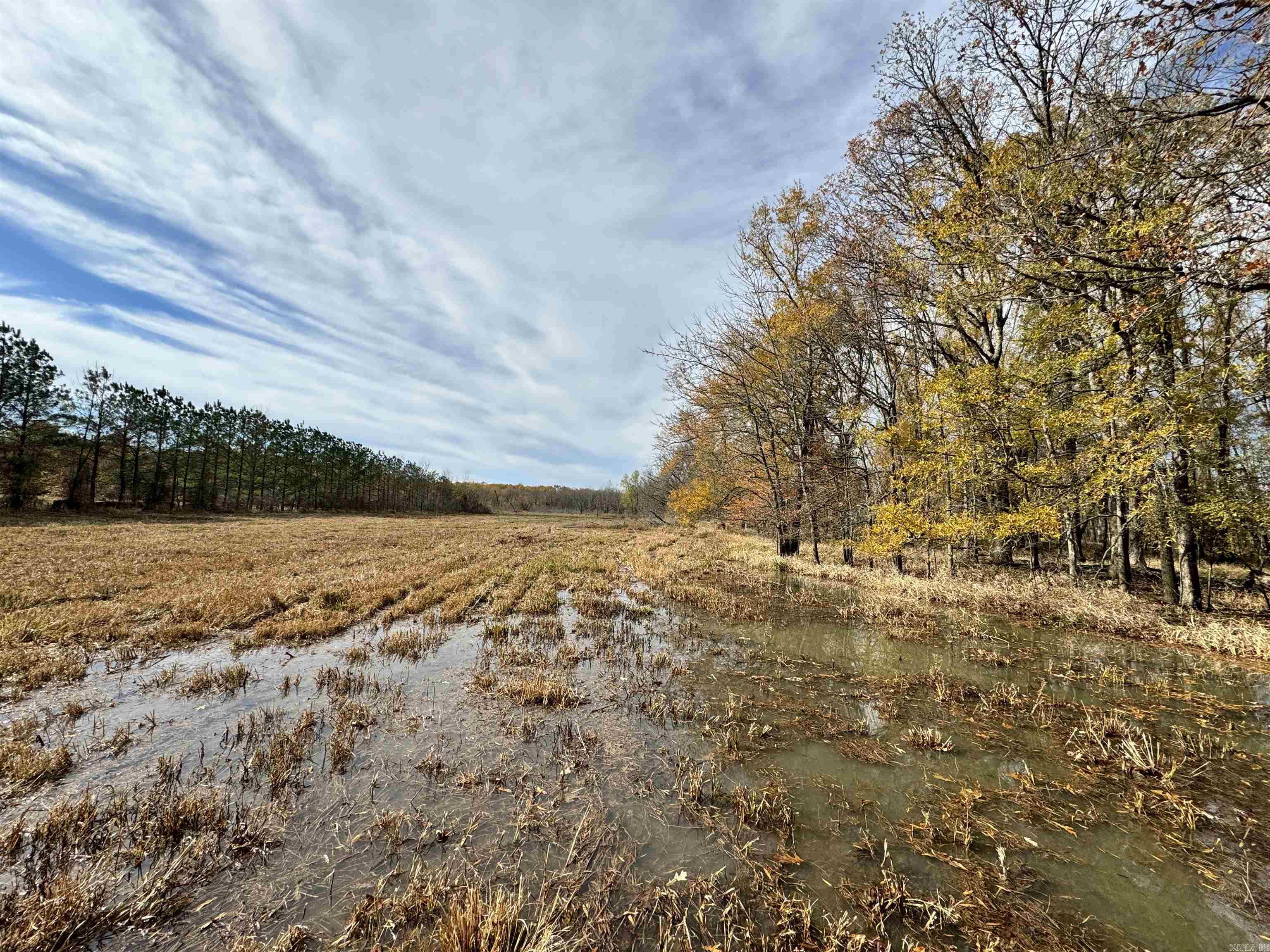 Metes & Bounds - Land