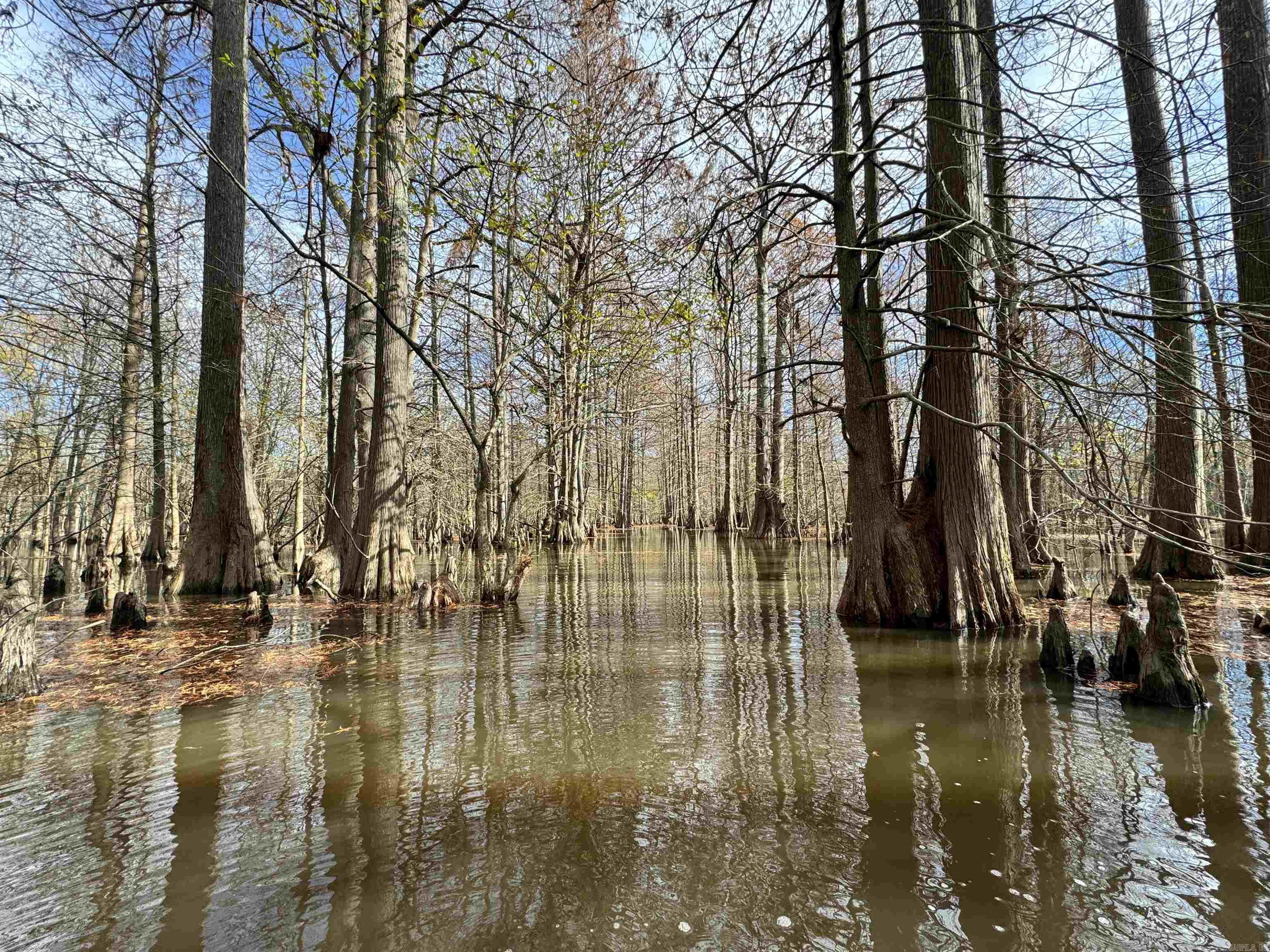 Metes & Bounds - Land