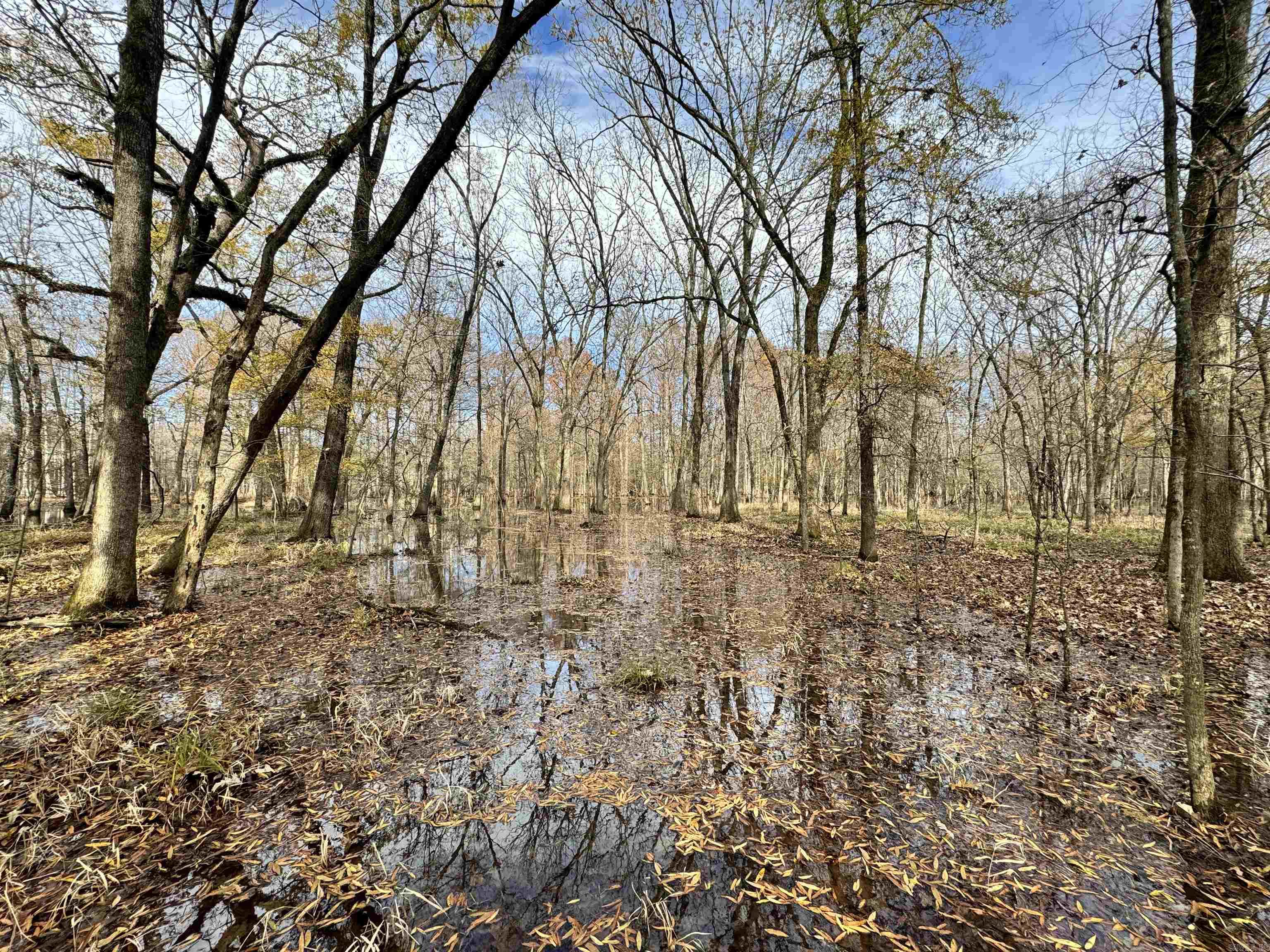 Metes & Bounds - Land