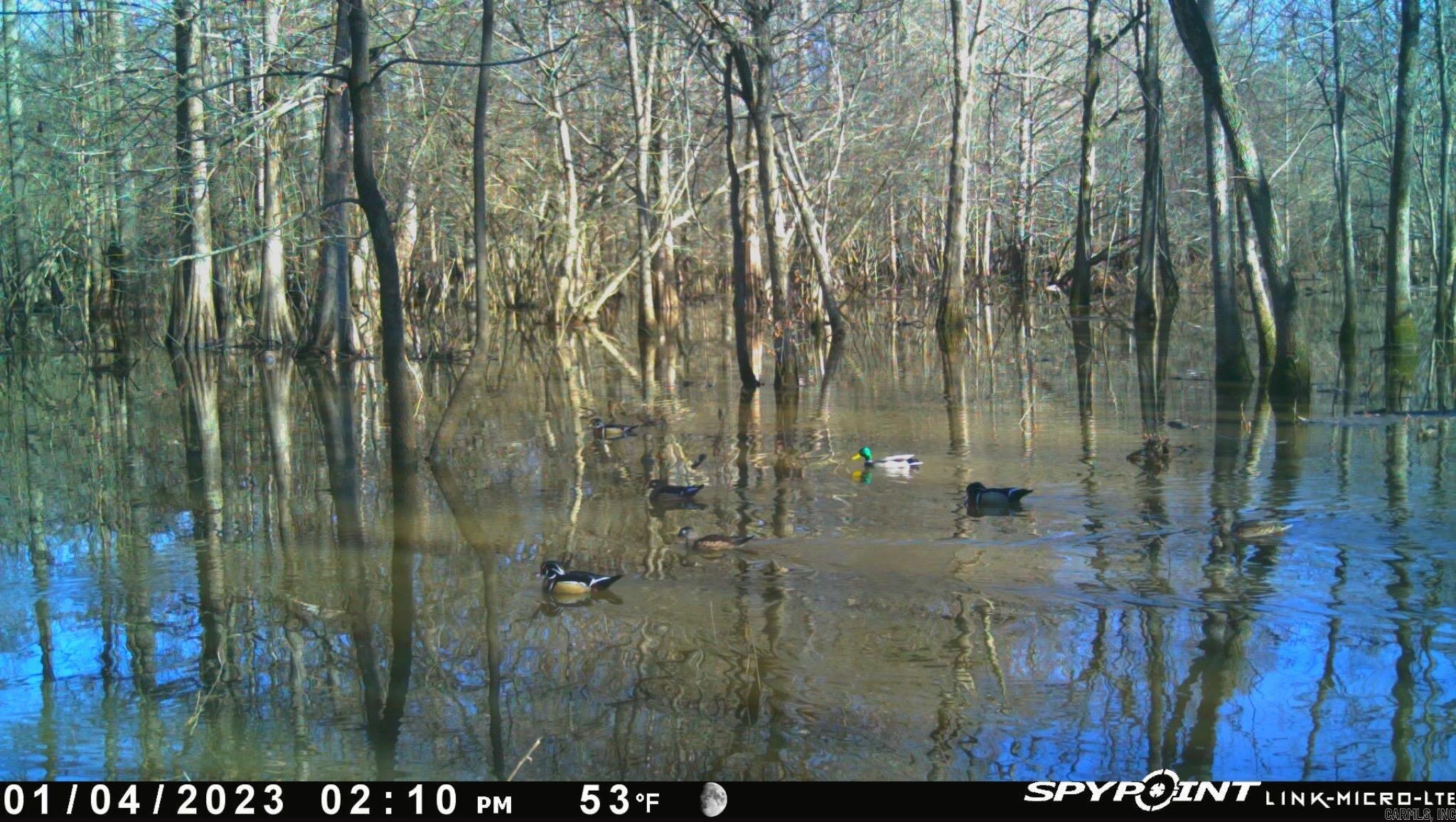 Metes & Bounds - Land