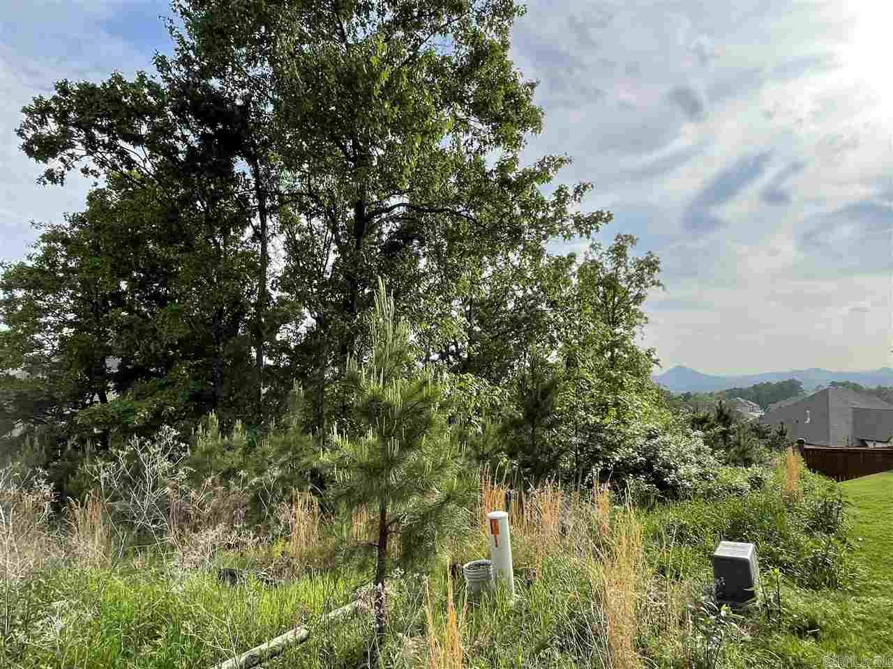 Majestic Pointe - Land