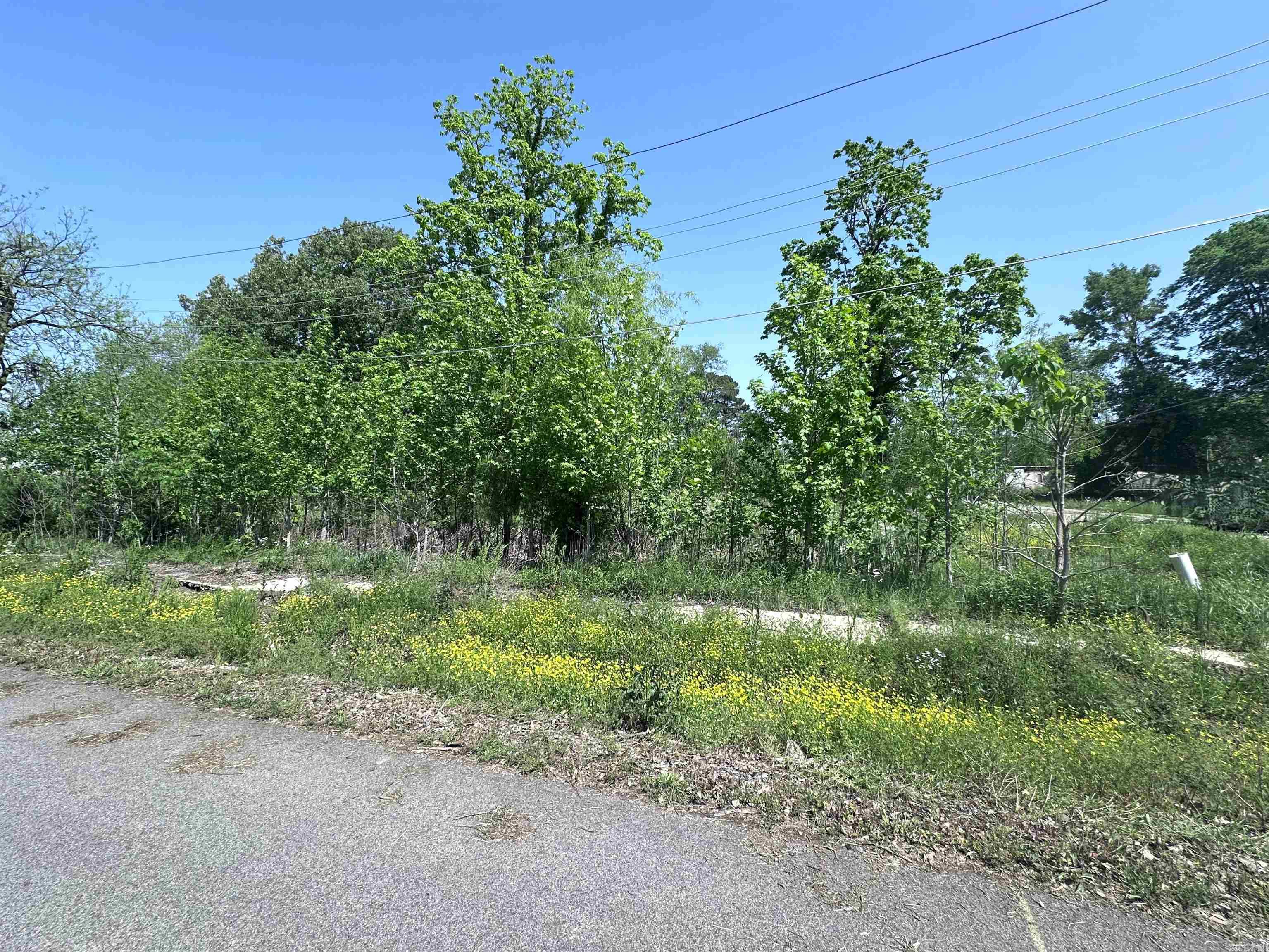 Not in Subdivision - Land