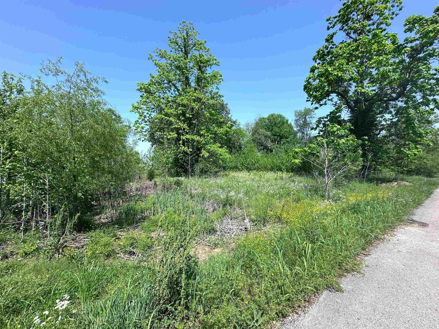 This vacant corner 0.46 ac lot is perfectly located in the heart of Greenway, within walking distance of the city park equipped with basketball goal, playground and a pavilion with picnic tables. If you're in the market for a piece of land to call yours, look no further than Davis St. Greenway, AR 72430! Call to schedule your showing!