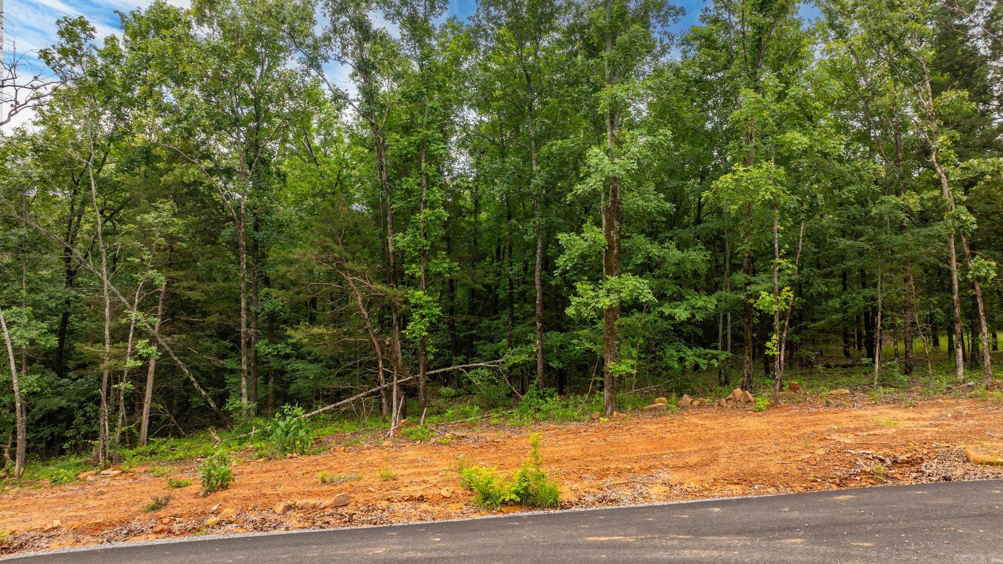 Brand new subdivision! This is a small quiet street just off Hwy 65. It will only have 10 lots total. It is only one street with a cul de sac. 1500 sq. ft minimum. Underground utilities