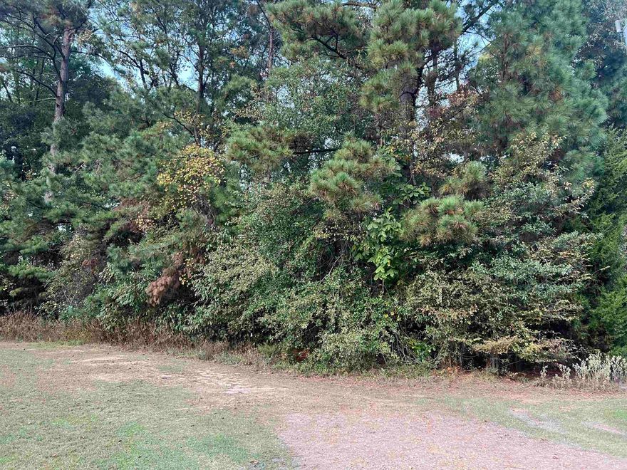 This 1.35-acre lot near Millwood Lake in Ashdown, Arkansas, offers an excellent opportunity for a peaceful retreat or a future building site. With ample space for a mobile home or custom residence, this serene area is perfect for those seeking tranquility and a connection to nature. Enjoy the benefits of nearby lake activities while having the privacy of your own quiet escape. Ideal for both investment or personal use, this lot is a must-see!