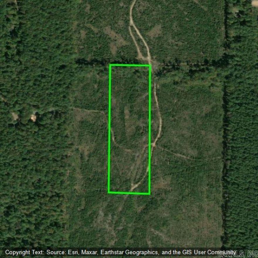 10.54 Acres of land that could be great for hunting.