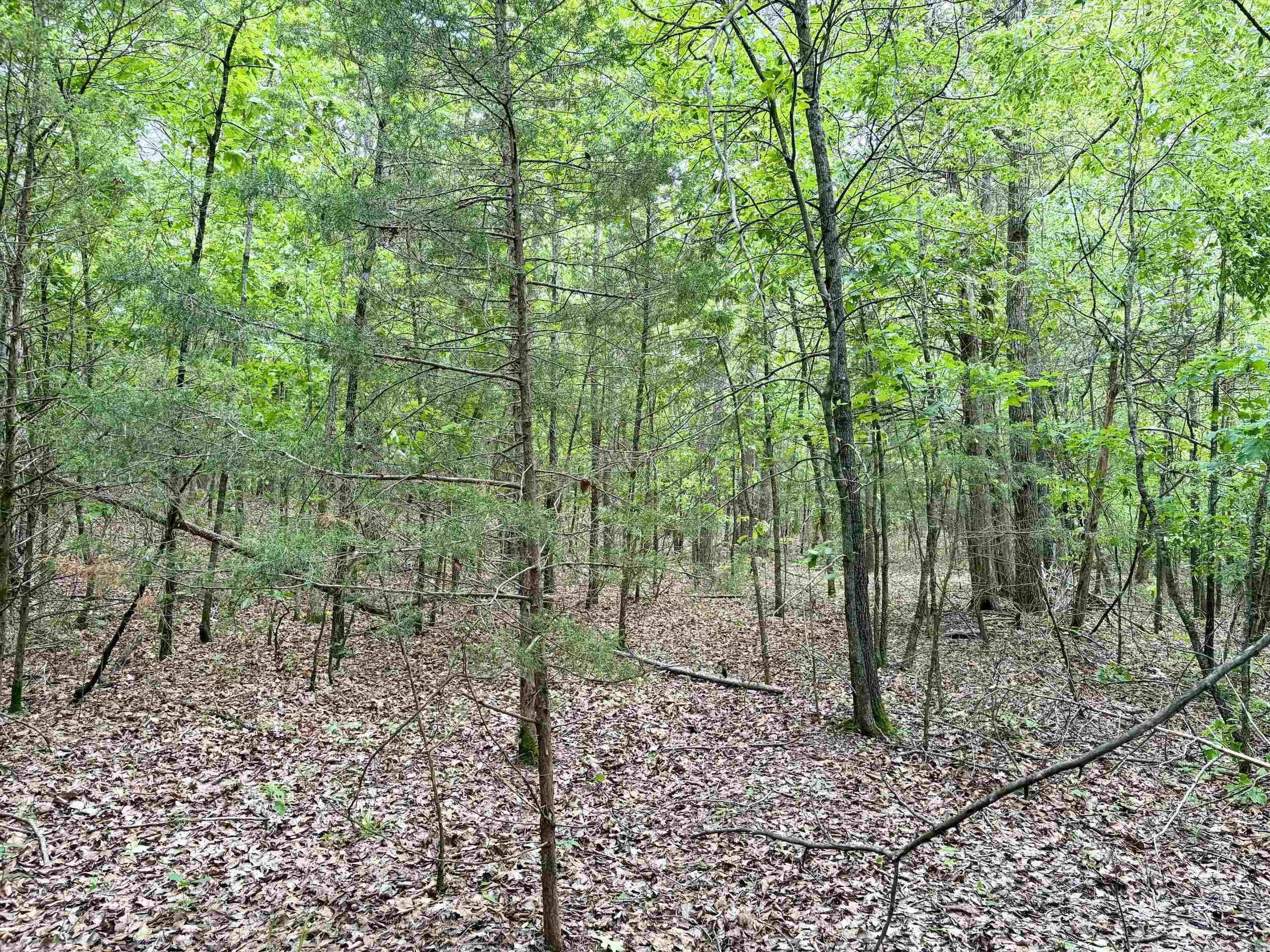 Not in Subdivision - Land
