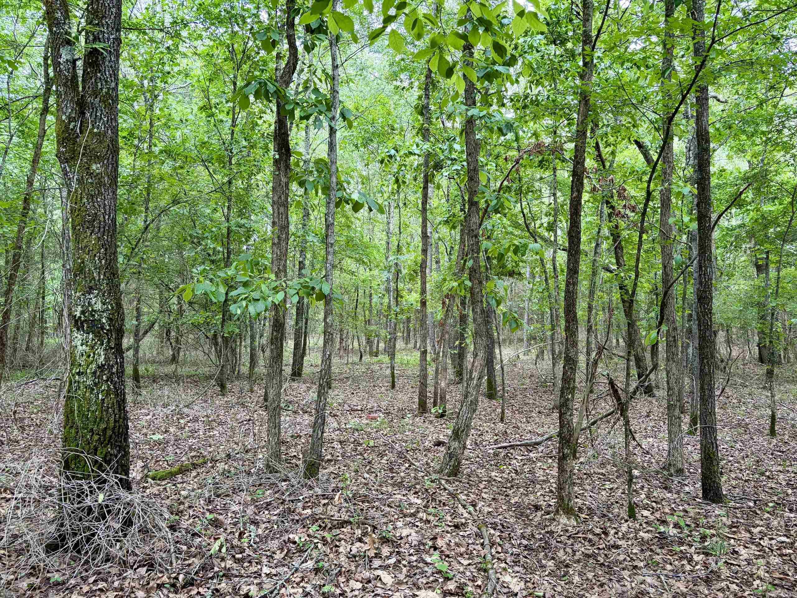 Not in Subdivision - Land