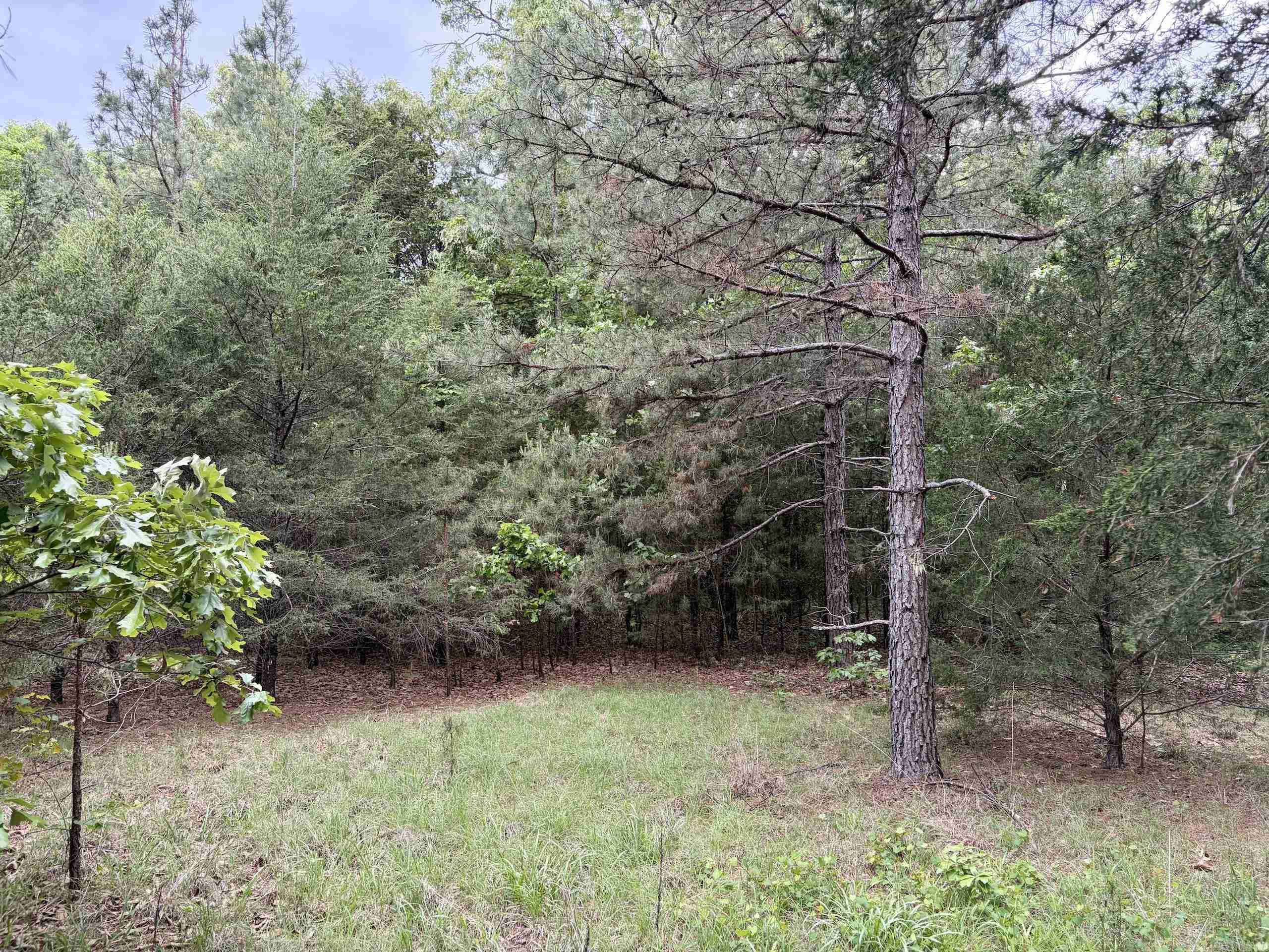 Not in Subdivision - Land