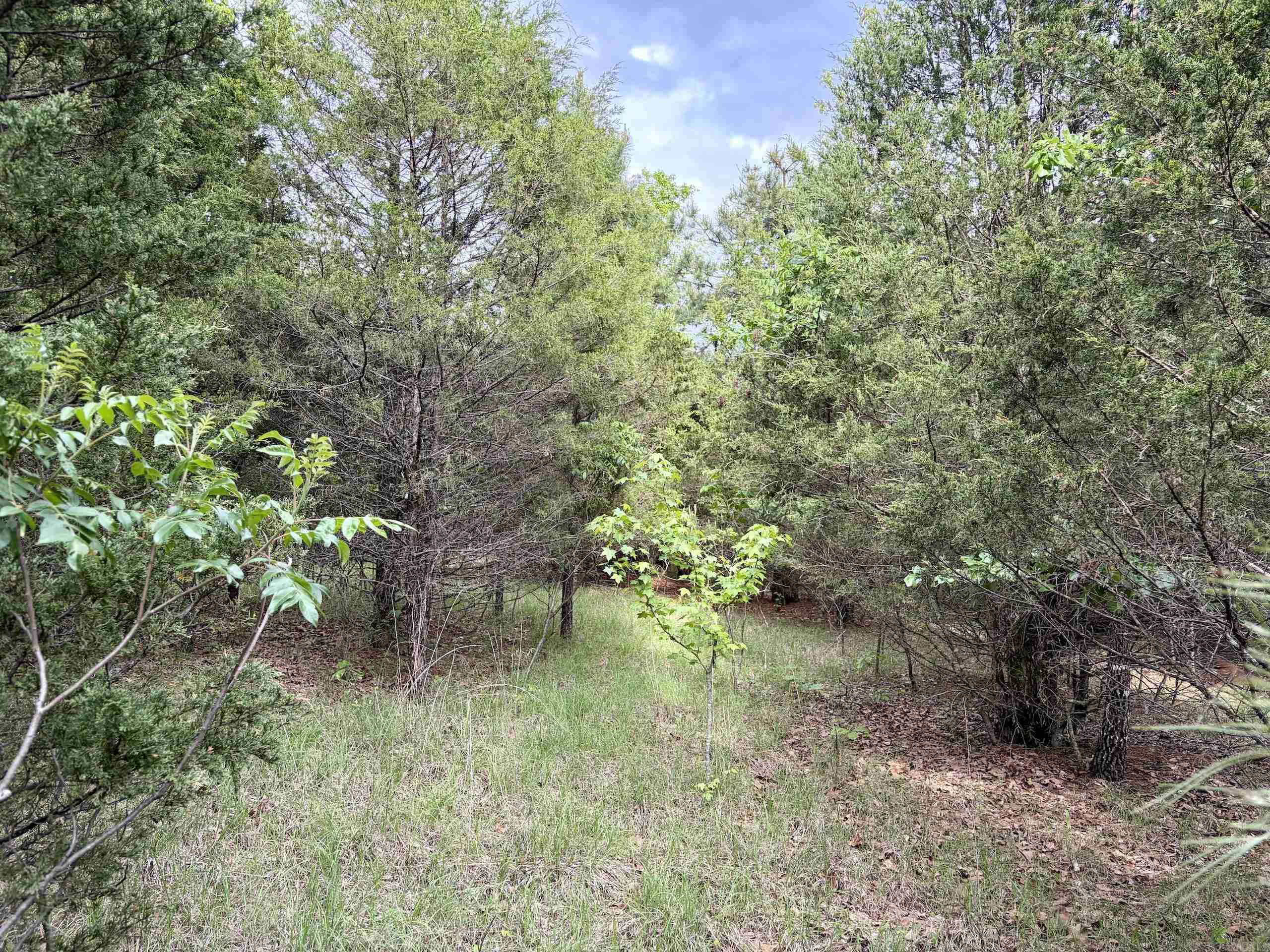Not in Subdivision - Land