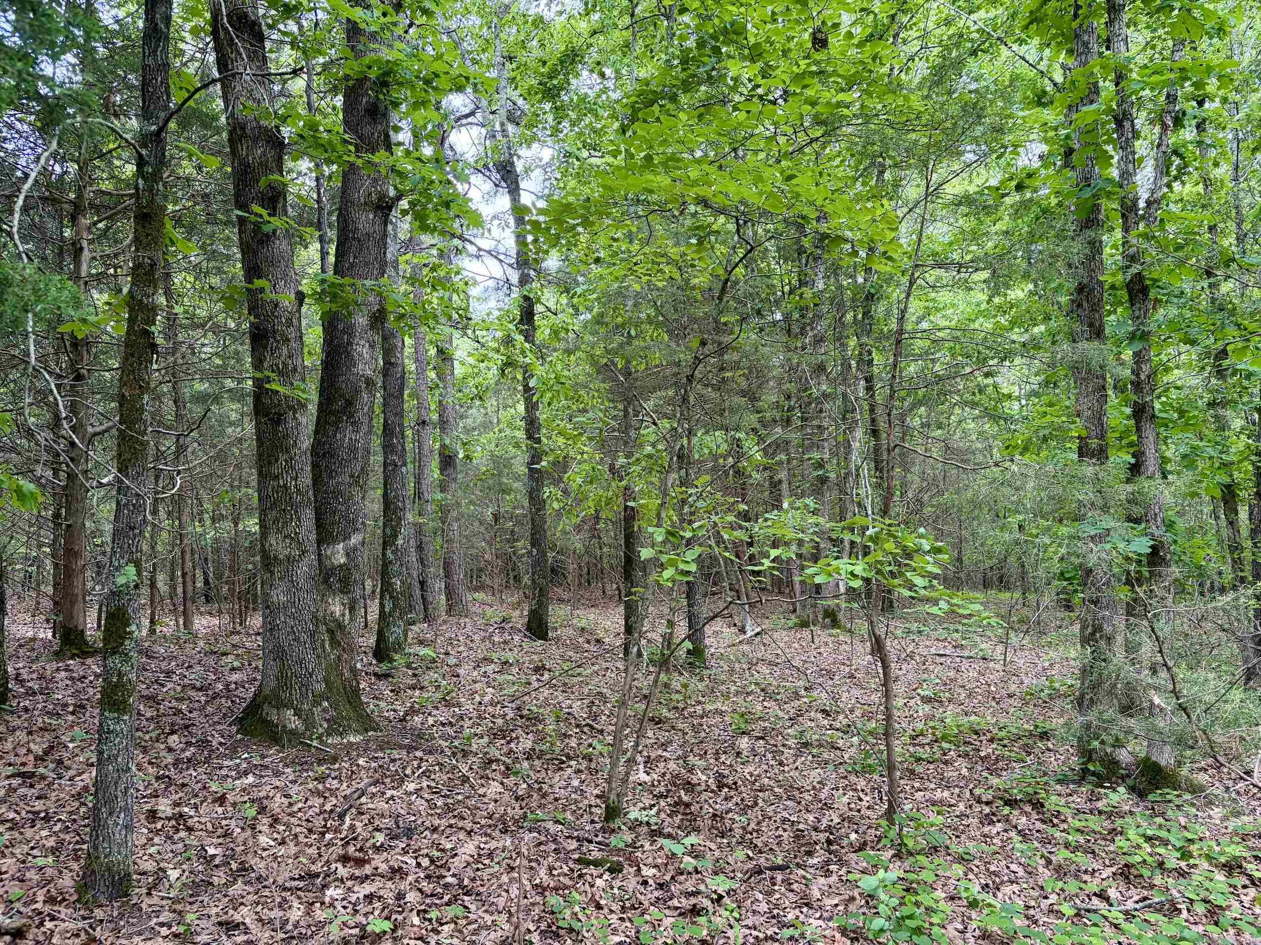 Not in Subdivision - Land
