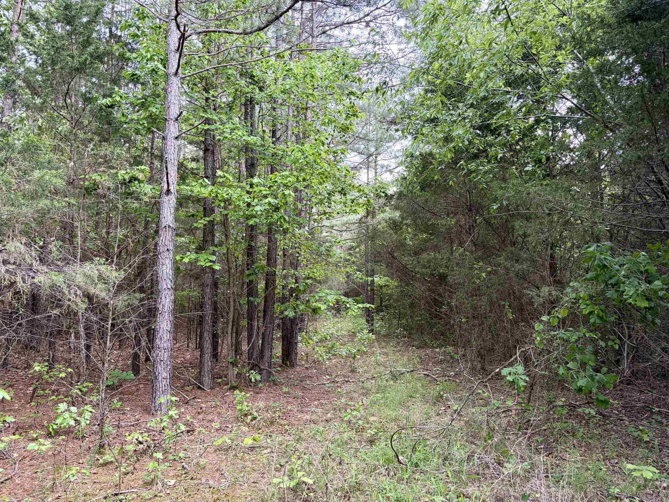 Not in Subdivision - Land