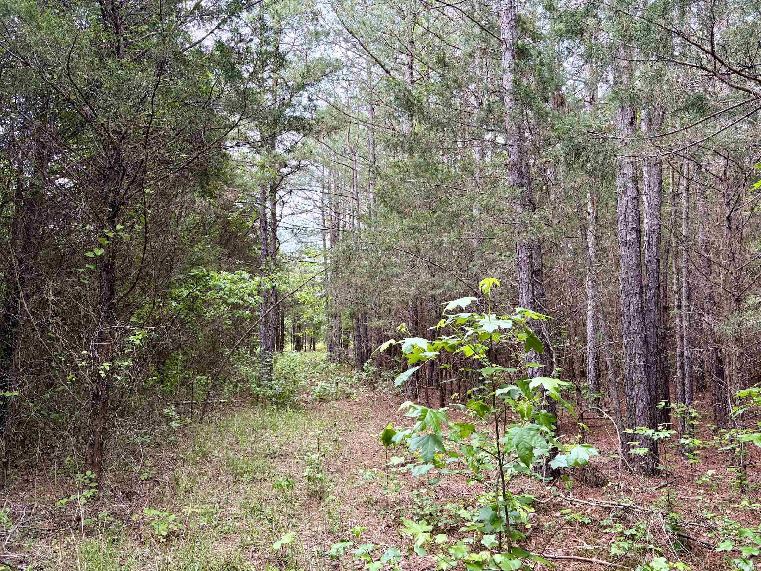 Not in Subdivision - Land