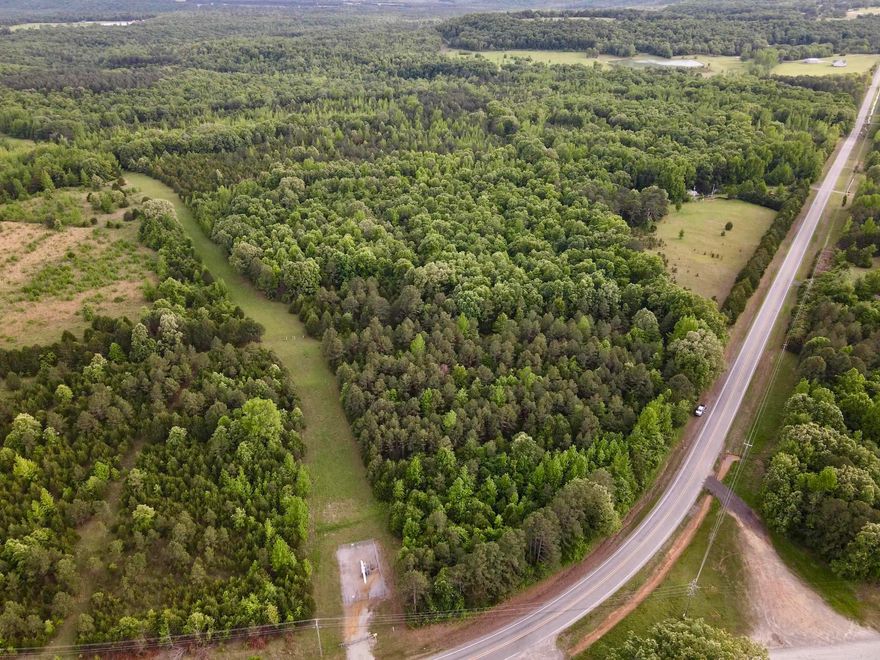 This well-located property offers the perfect opportunity for country living with convenience. Situated along a blacktop county road, the land provides easy, year-round access along with electricity and rural water available at the road, making it ready for your future home or weekend retreat. The gently sloping terrain creates several ideal building sites, allowing you to position your home to take advantage of the natural setting while maintaining privacy. With its manageable and affordable size, this property is perfect for first-time land buyers, those looking to downsize, or anyone wanting a quiet place in the country. Surrounded by nature, the property supports abundant wildlife, offering opportunities for hunting, wildlife watching, or simply enjoying the peaceful outdoors. The setting offers a true rural feel while remaining accessible and practical for everyday living. Whether you're planning to build now or invest for the future, this property combines location, utilities, affordability, and natural beauty into one attractive package.
