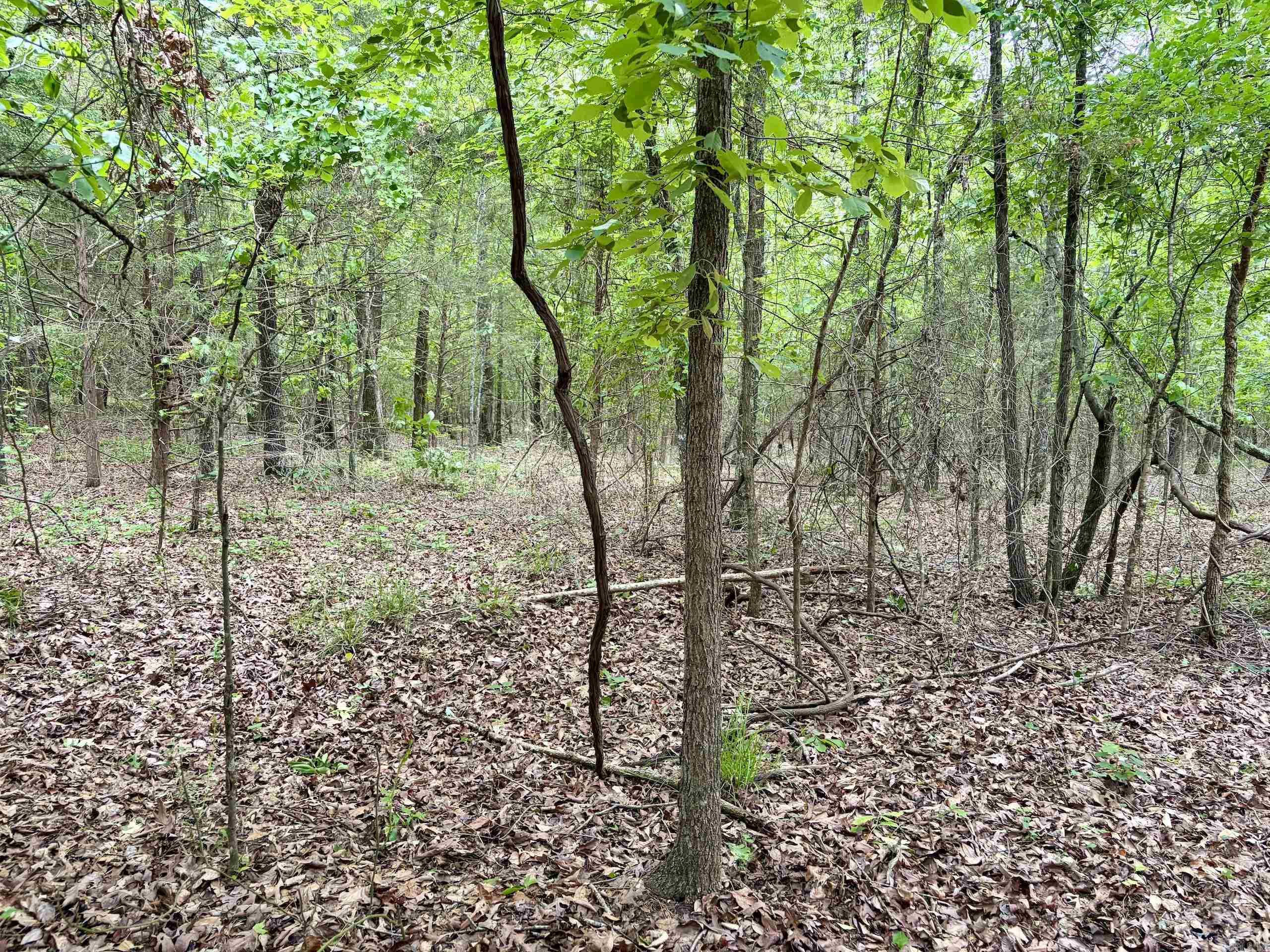 Not in Subdivision - Land