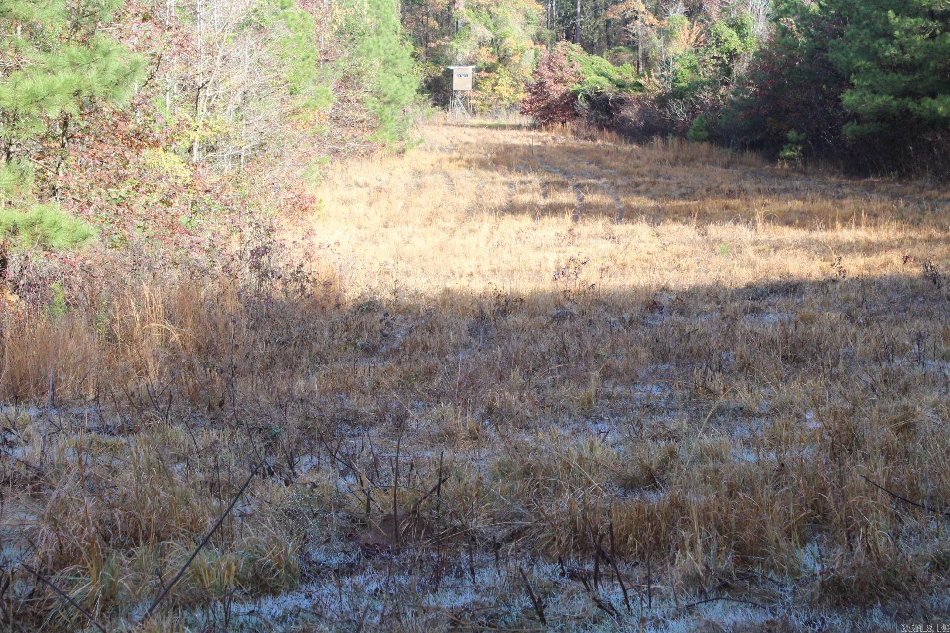 80 acres of timberland available Great for hunting