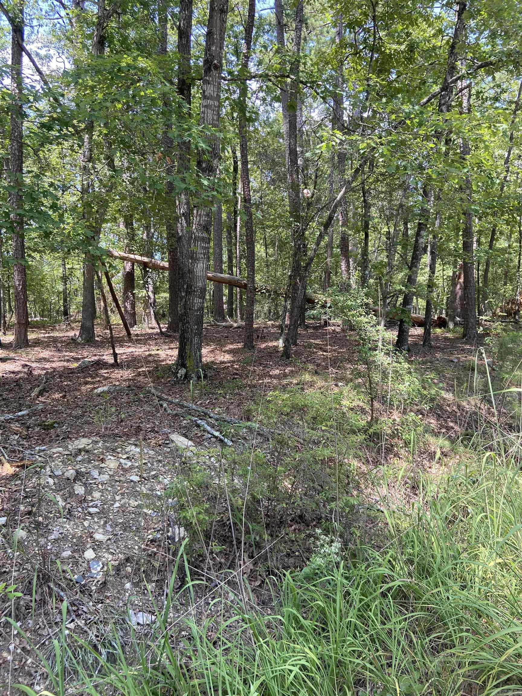 Prime Residential Building Lot in Hot Springs Village, Arkansas. Discover the perfect spot to build your dream home on this stunning residential building lot, nestled in a serene cul-de-sac in the heart of Hot Springs Village. This beautifully wooded lot offers a tranquil setting with the added benefit of being close to the vibrant Lake Coronado. Situated on a lined cul-de-sac, ensuring a peaceful and private atmosphere, just minutes away from the sparkling Lake Coronado and the fitness center offering fantastic recreational opportunities. Enjoy all the exclusive amenities Hot Springs Village has to offer, including golf courses, hiking trails, tennis courts, pickleball and more! Surround yourself with the beauty of nature, with mature trees and lush greenery. Become part of a friendly and welcoming community known for its vibrant social scene and numerous clubs and activities!